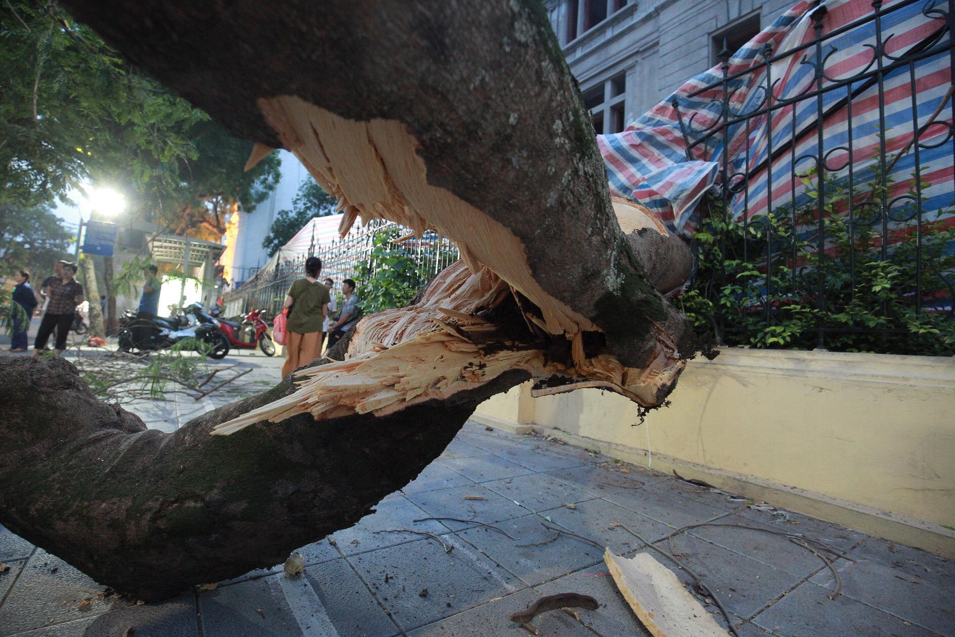 cay do de bep xe may tren pho Quan Su anh 4