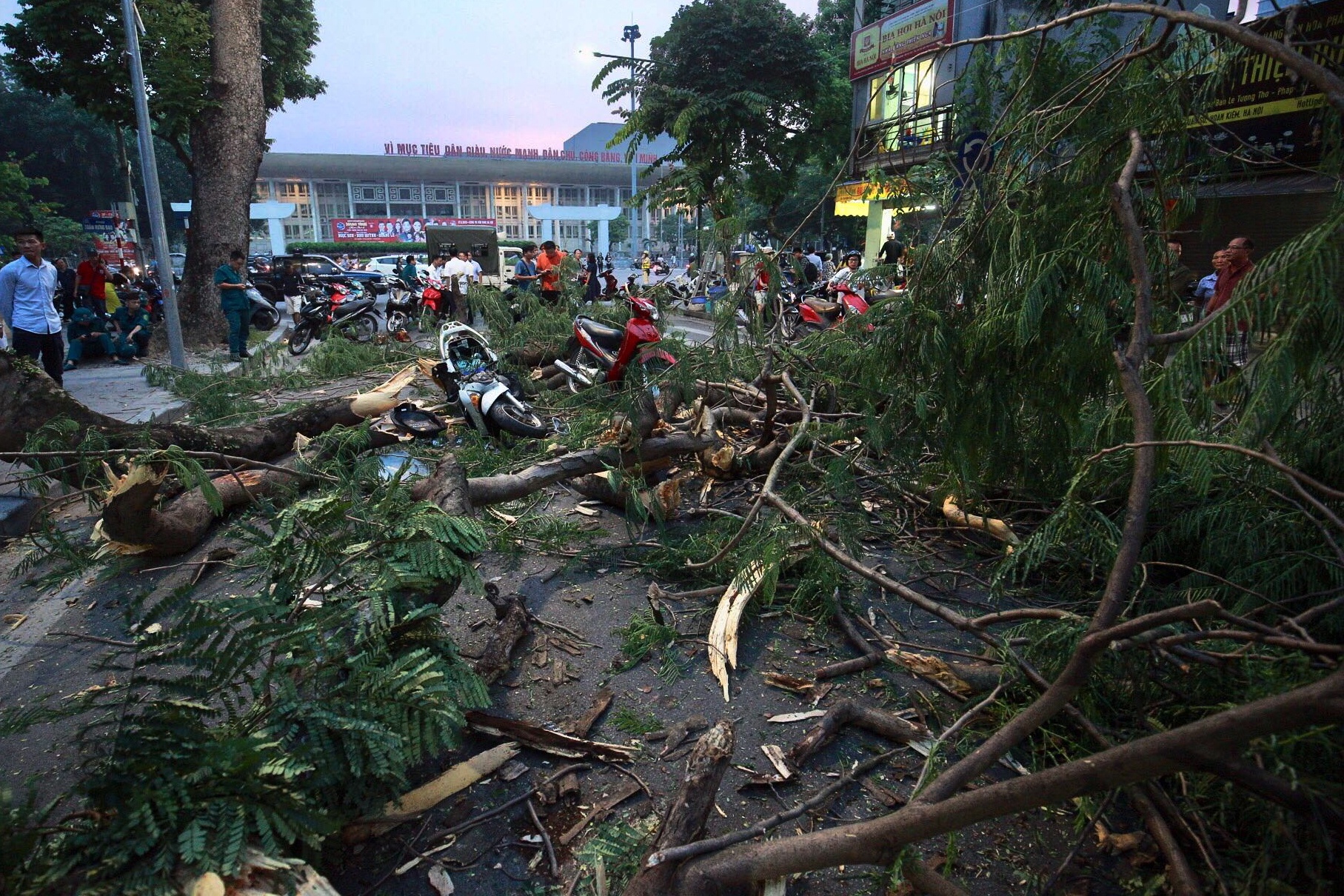 cay do de bep xe may tren pho Quan Su anh 7