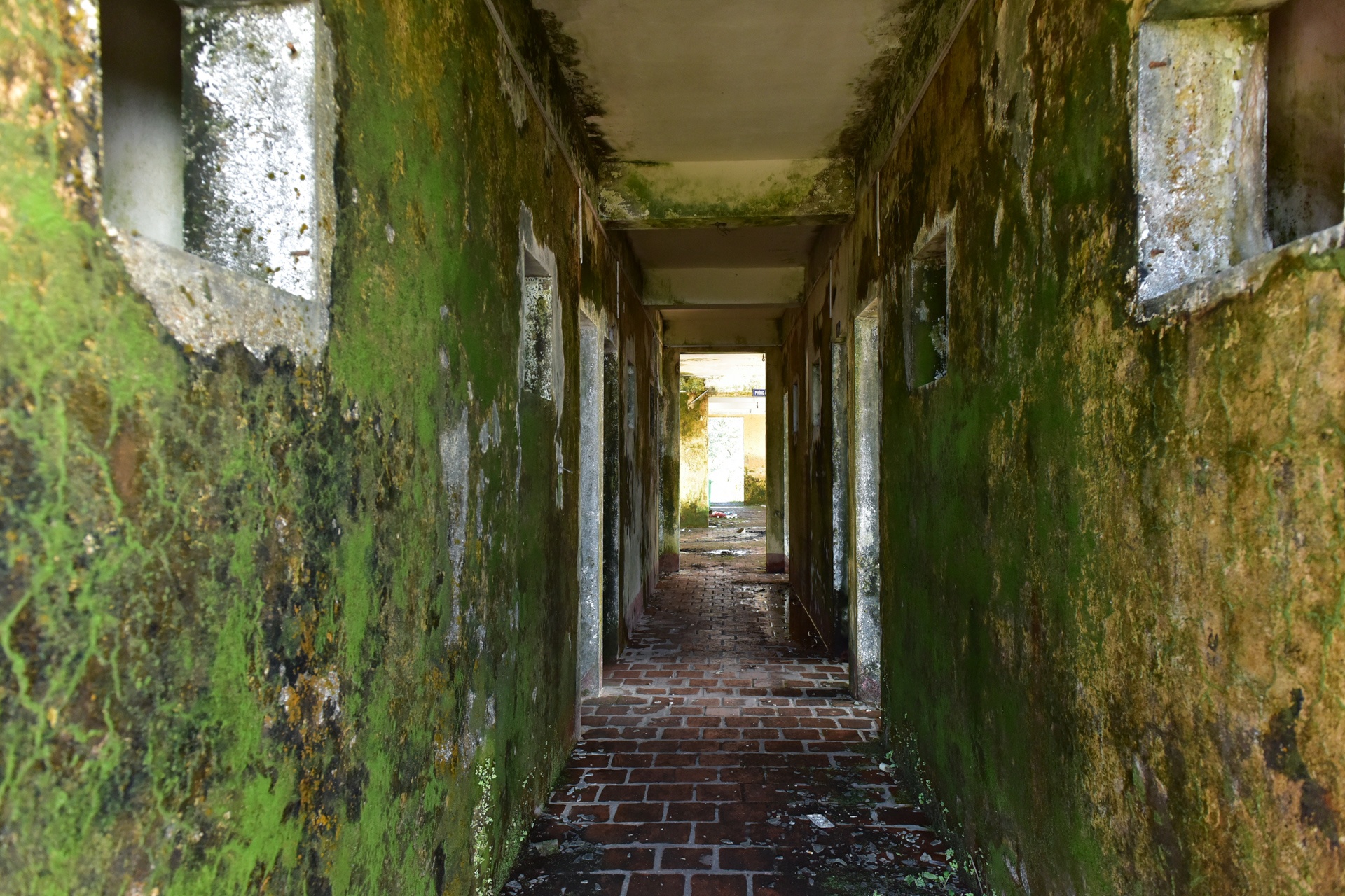 nha nghi bo hoang tren dinh Mau Son anh 14