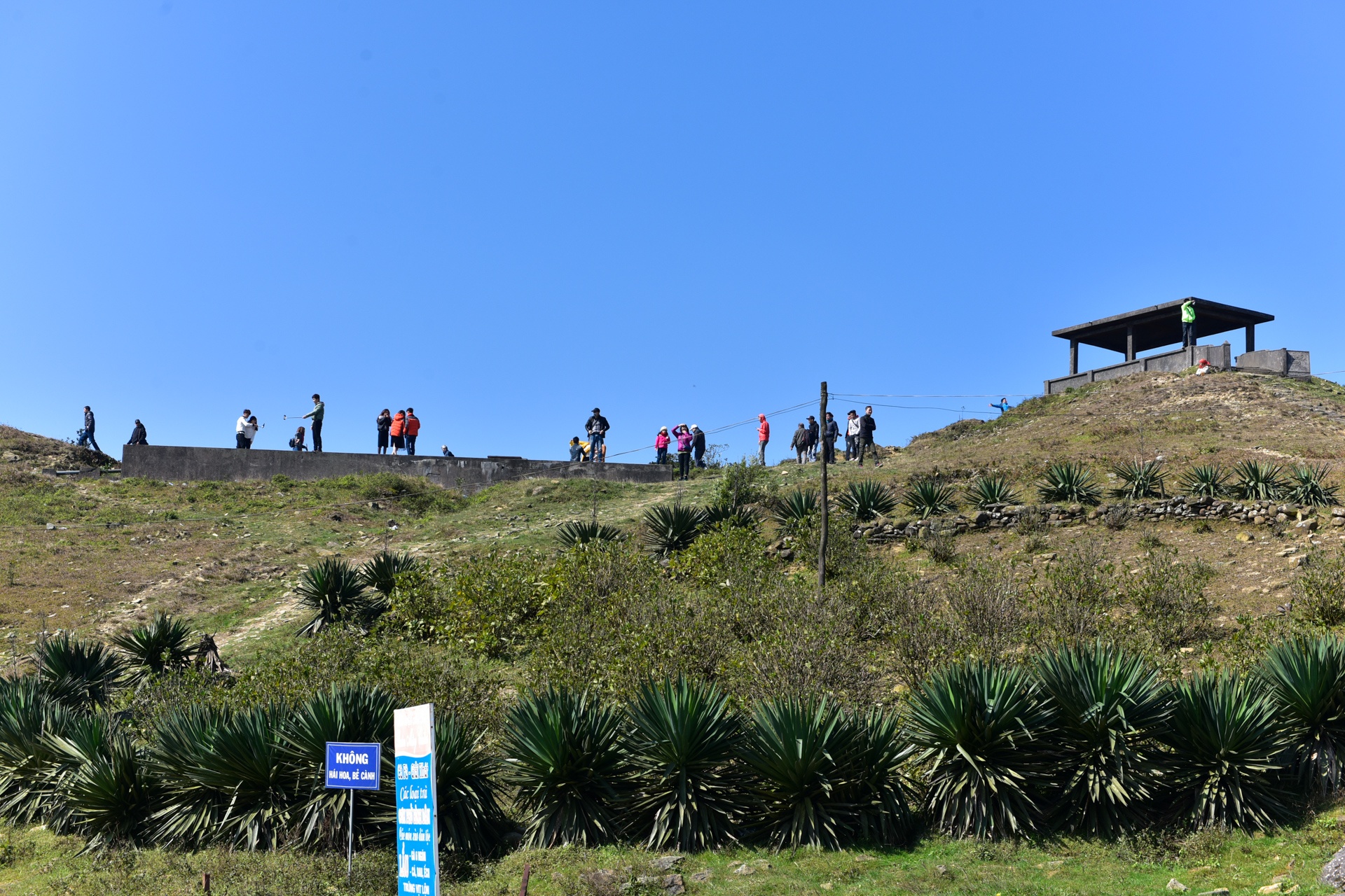 nha nghi bo hoang tren dinh Mau Son anh 1