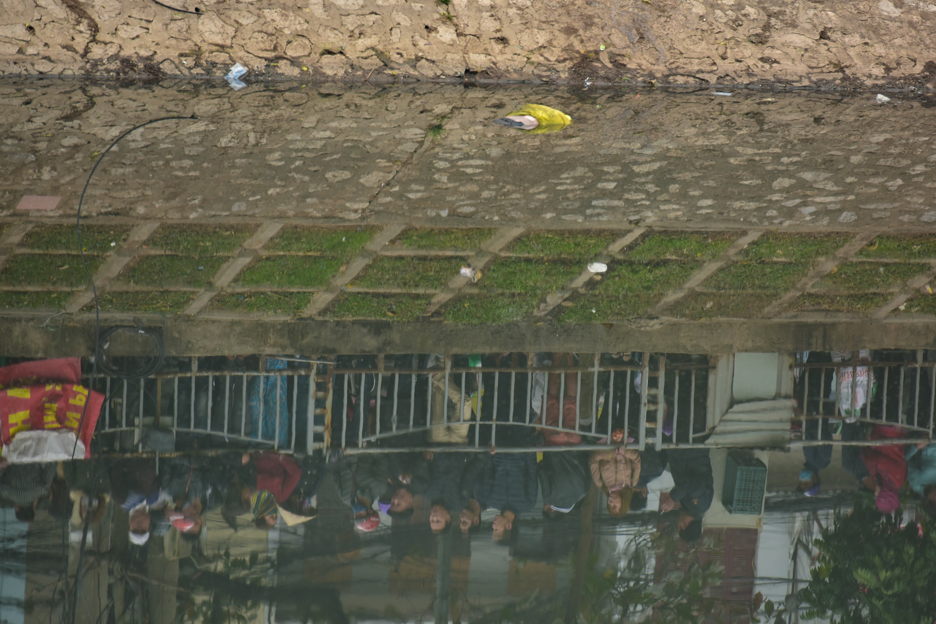 nguoi chet noi o song To lich anh 5