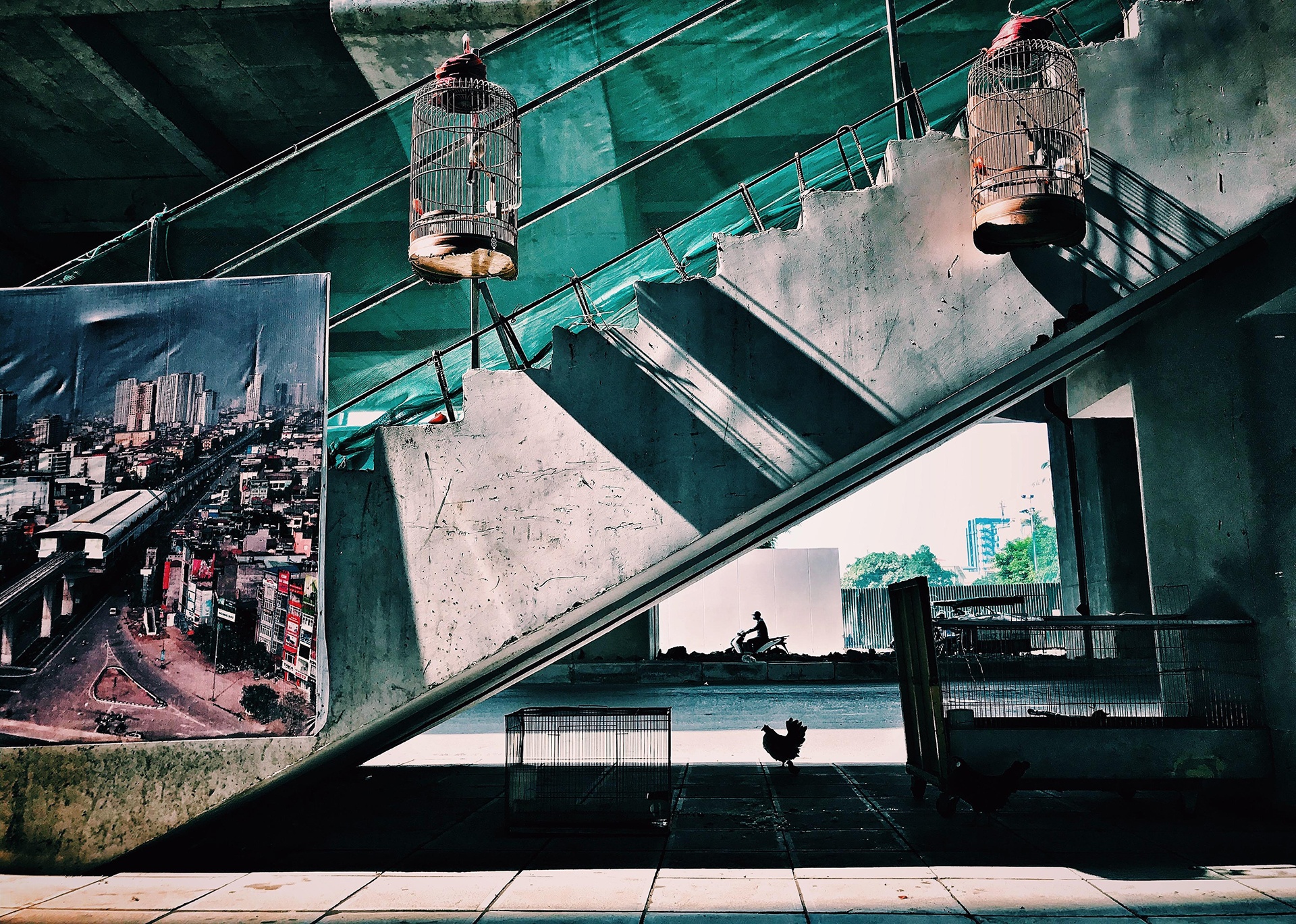 cuoc thi anh Sai Gon 2018 anh 8