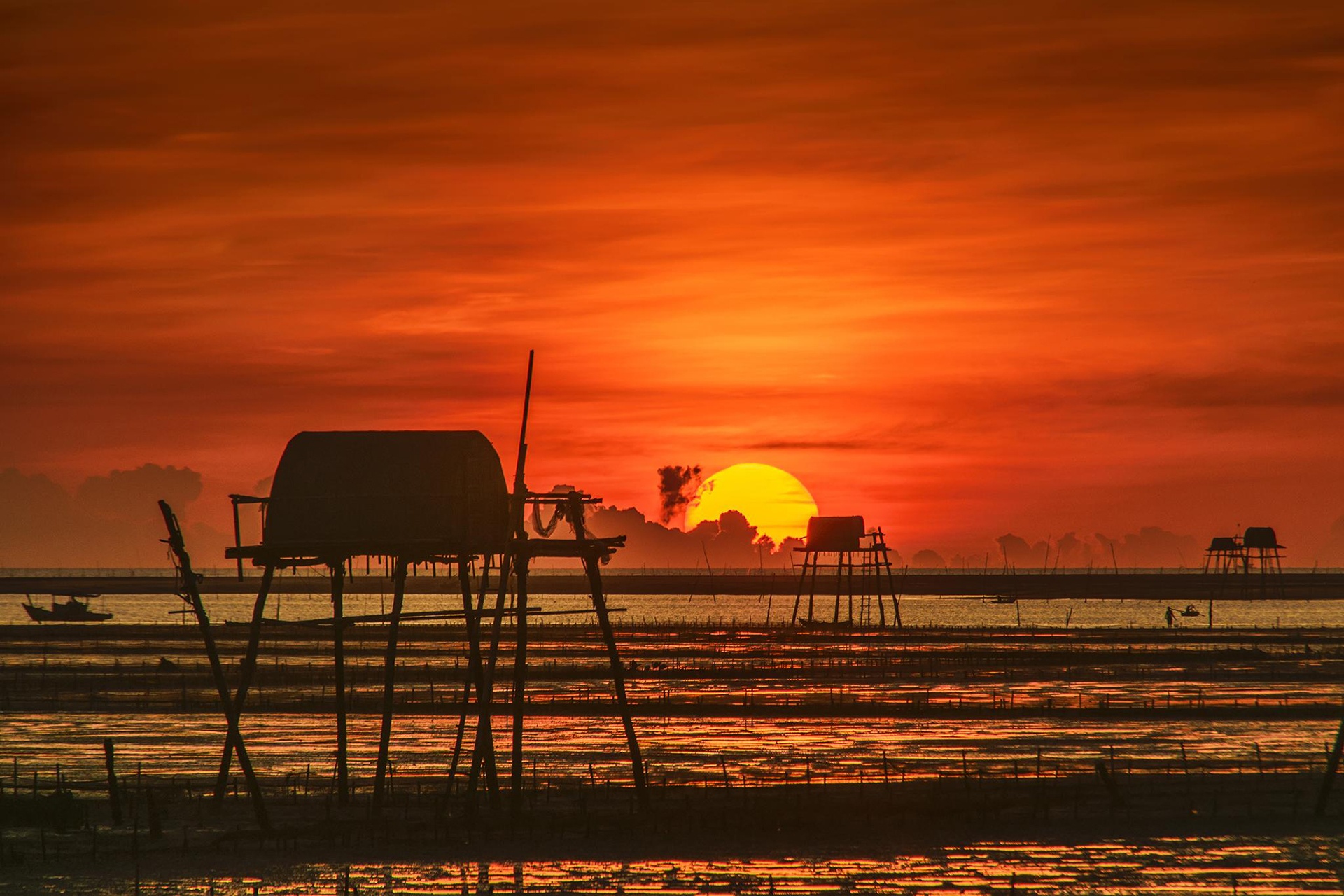 cuoc thi anh Sai Gon 2018 anh 3