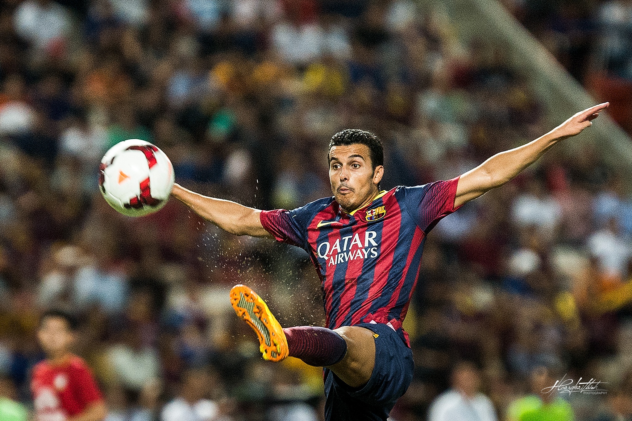 Hoa hau Hoan vu Dayana Mendoza anh 11