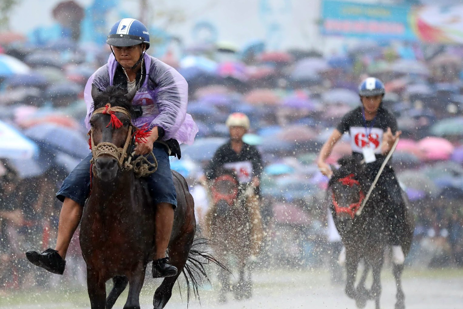 Hang nghin nguoi xem dua ngua trong mua lon o Lao Cai hinh anh