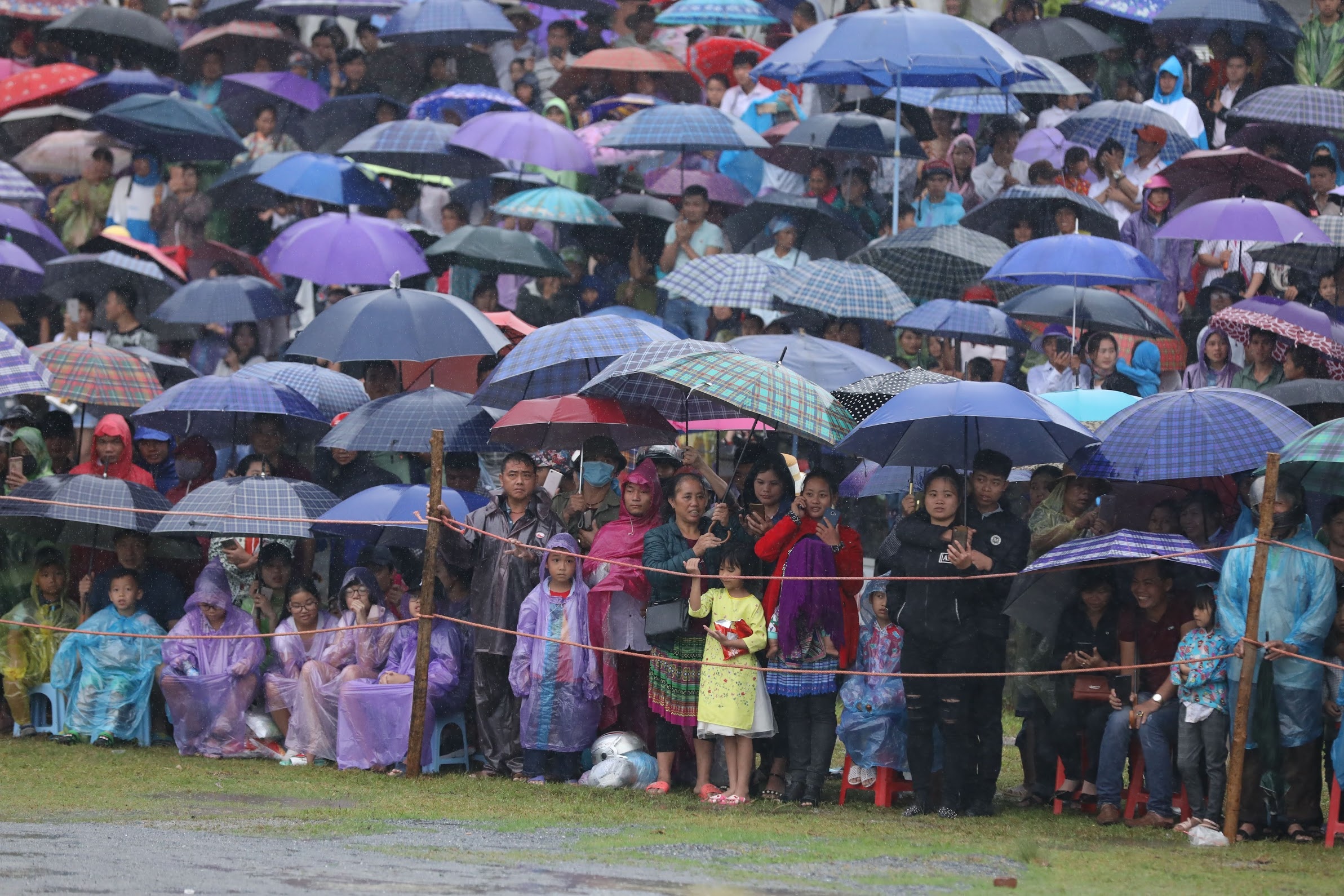 dua ngua o Bac Ha Lao Cai anh 1