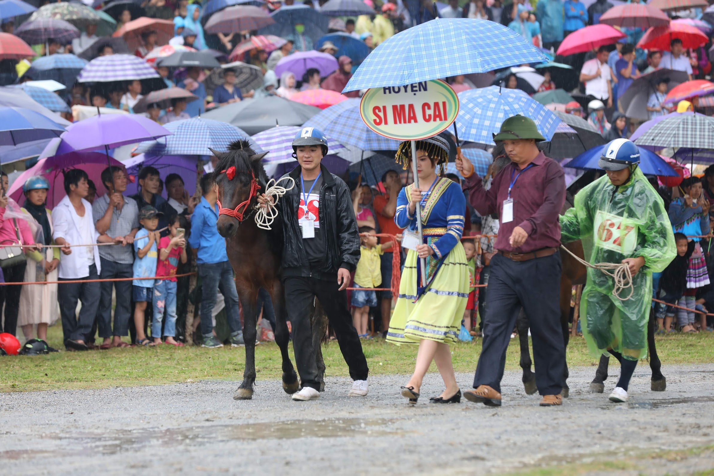 dua ngua o Bac Ha Lao Cai anh 2