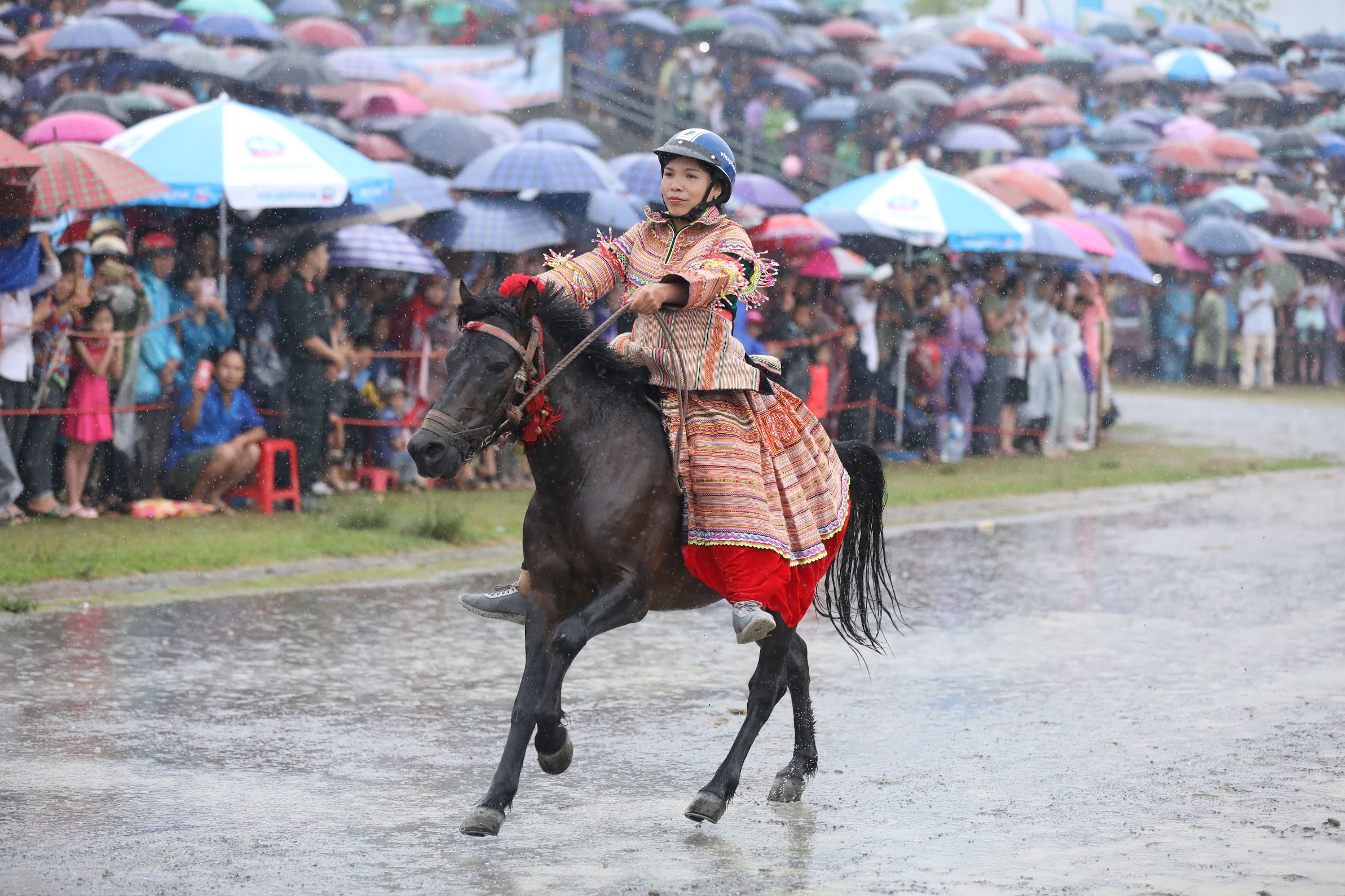 dua ngua o Bac Ha Lao Cai anh 6