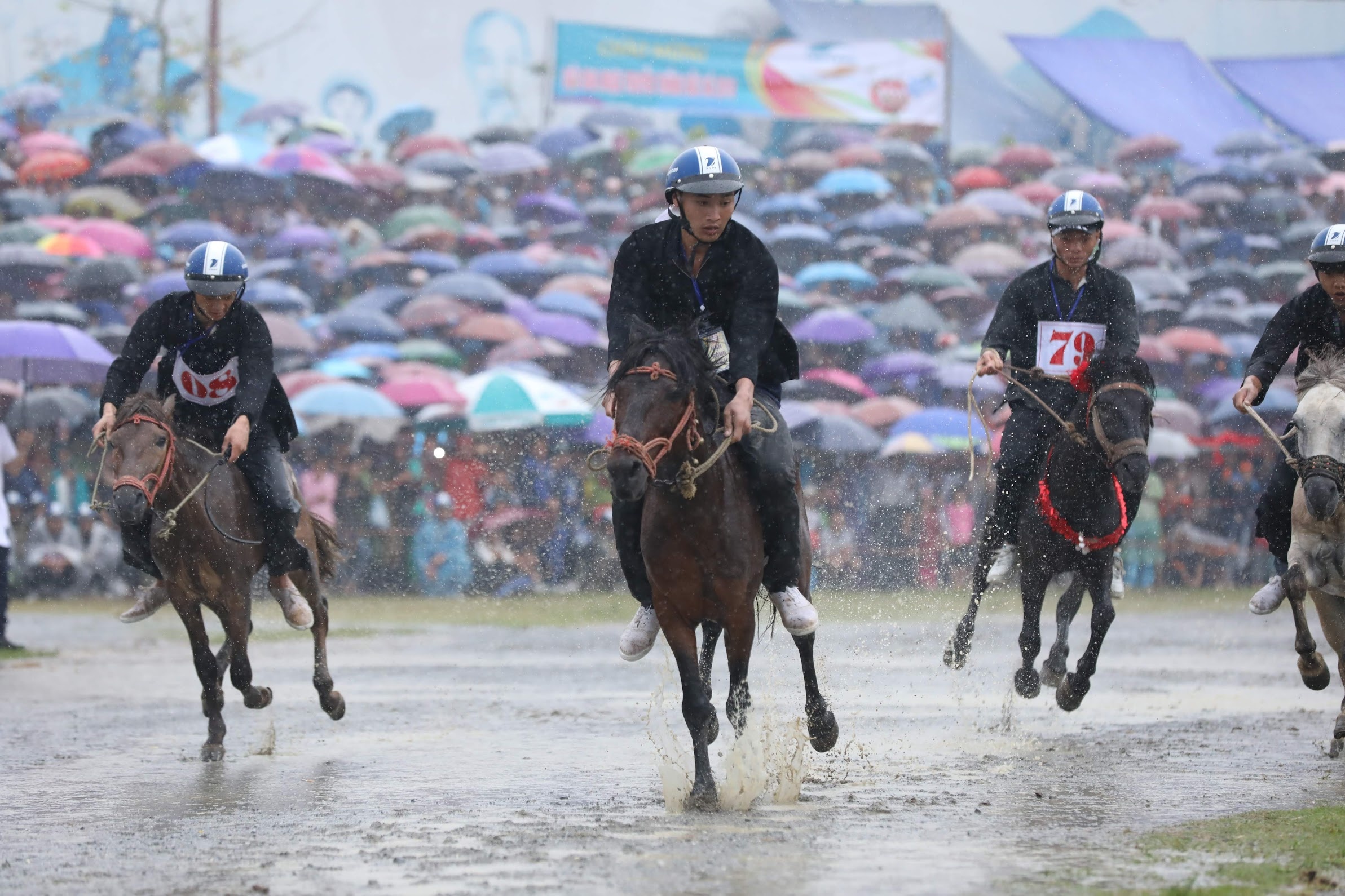 dua ngua o Bac Ha Lao Cai anh 7