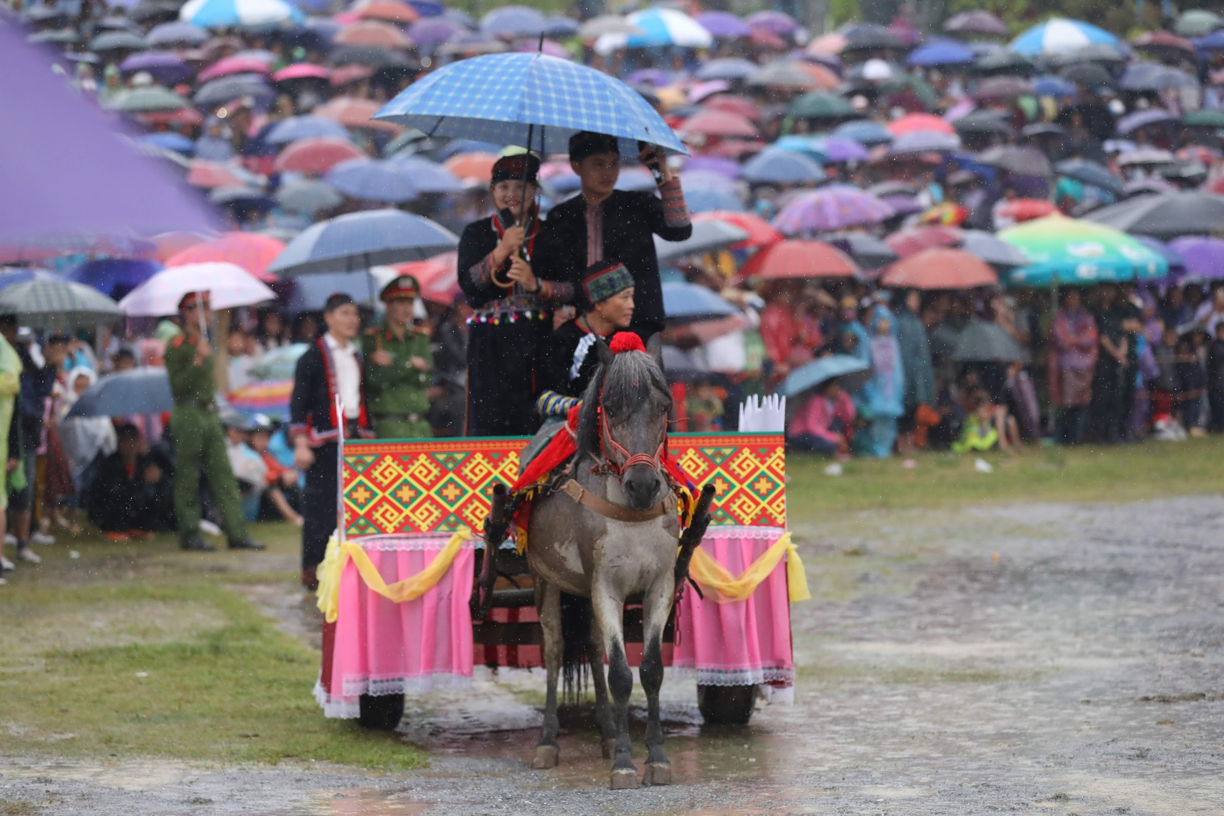 dua ngua o Bac Ha Lao Cai anh 12
