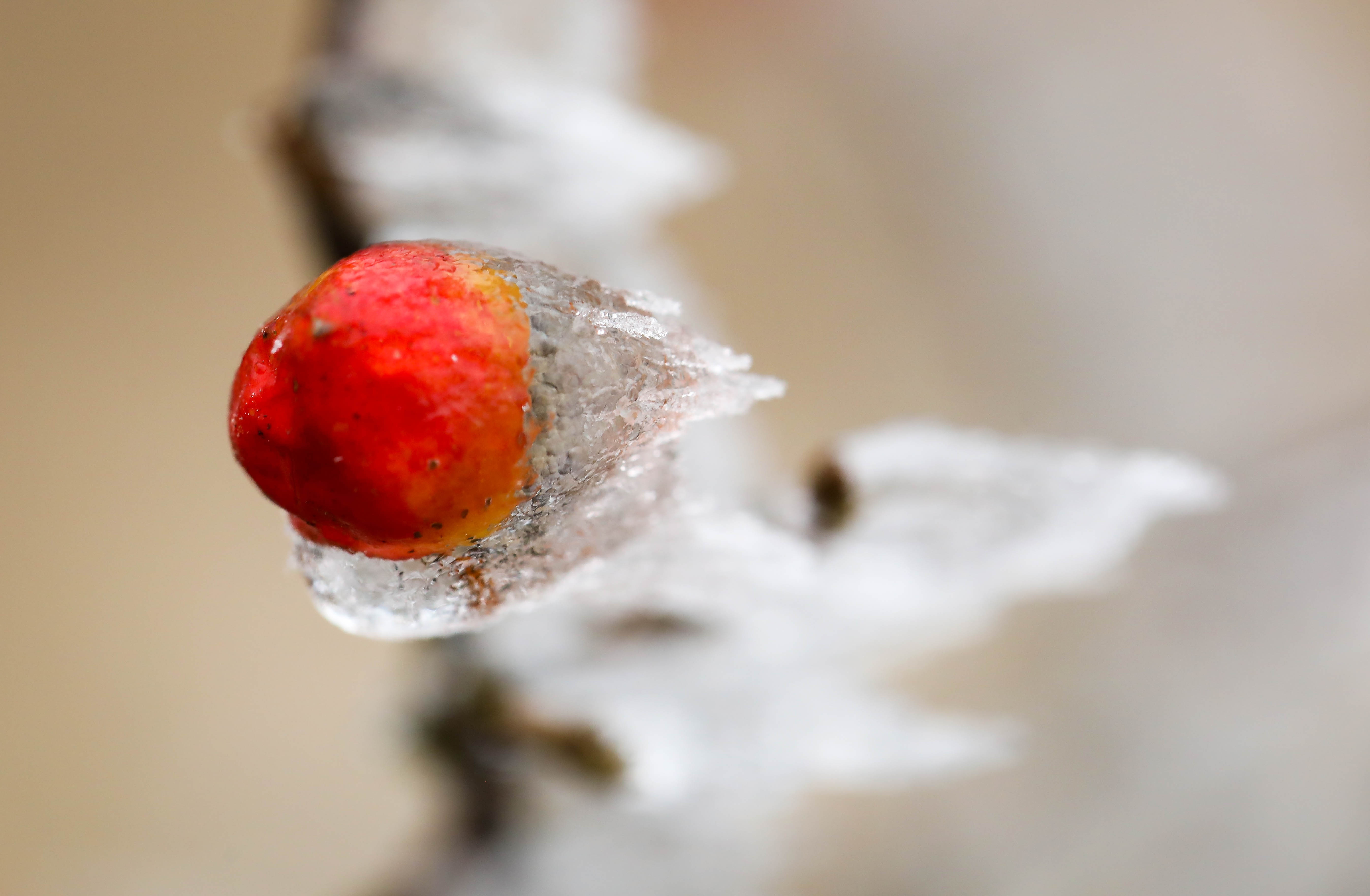 băng tuyết ở sa pa ảnh 5 bang tuyet o sa pa anh 5