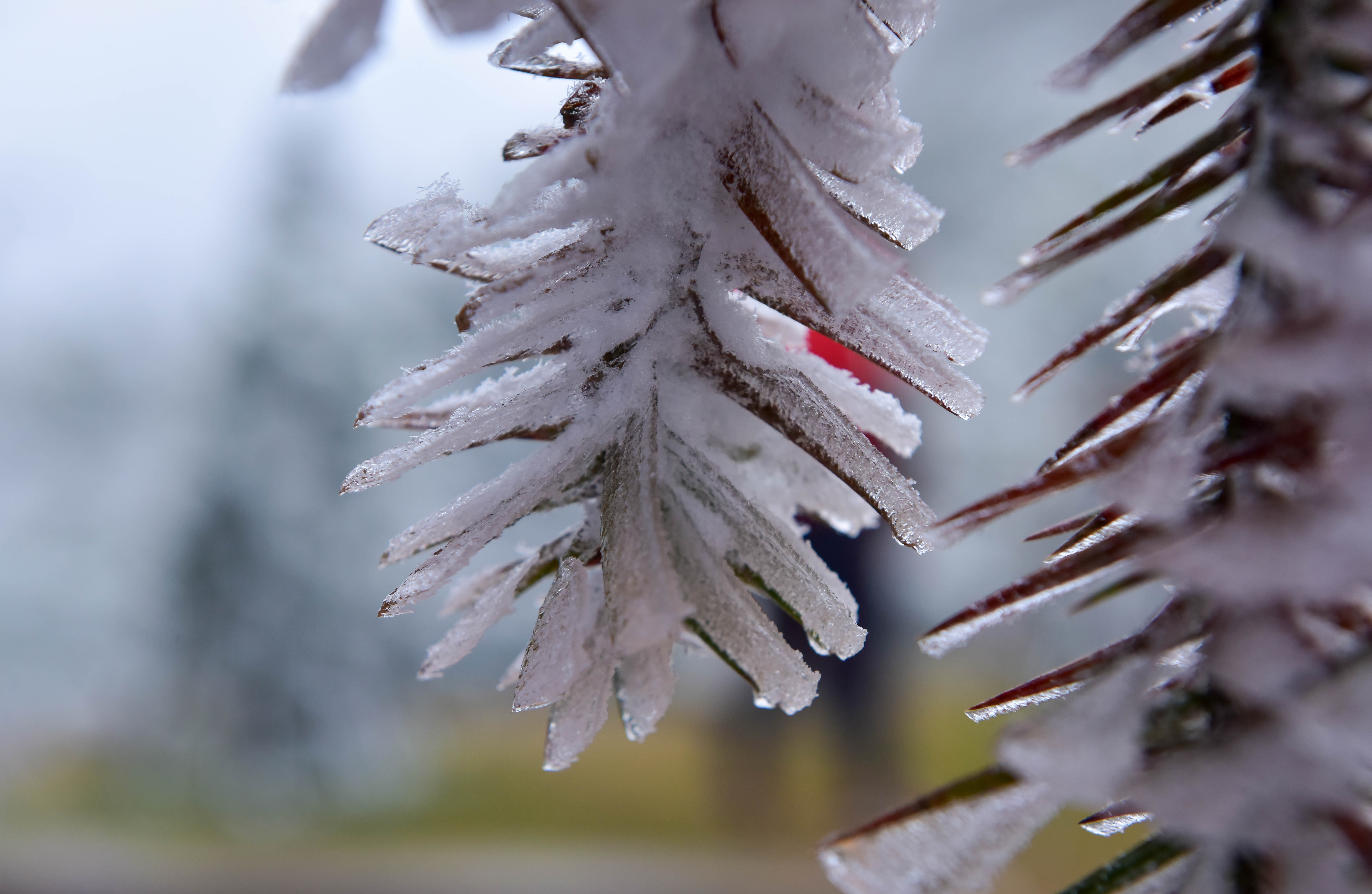 băng tuyết ở sa pa ảnh 6 bang tuyet o sa pa anh 6