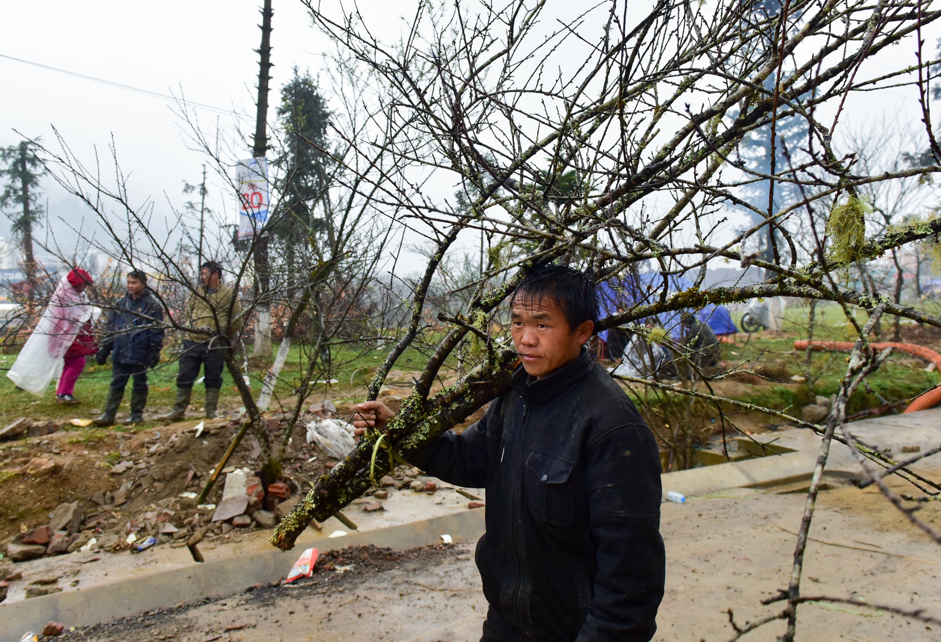 dao rung Sa Pa anh 4