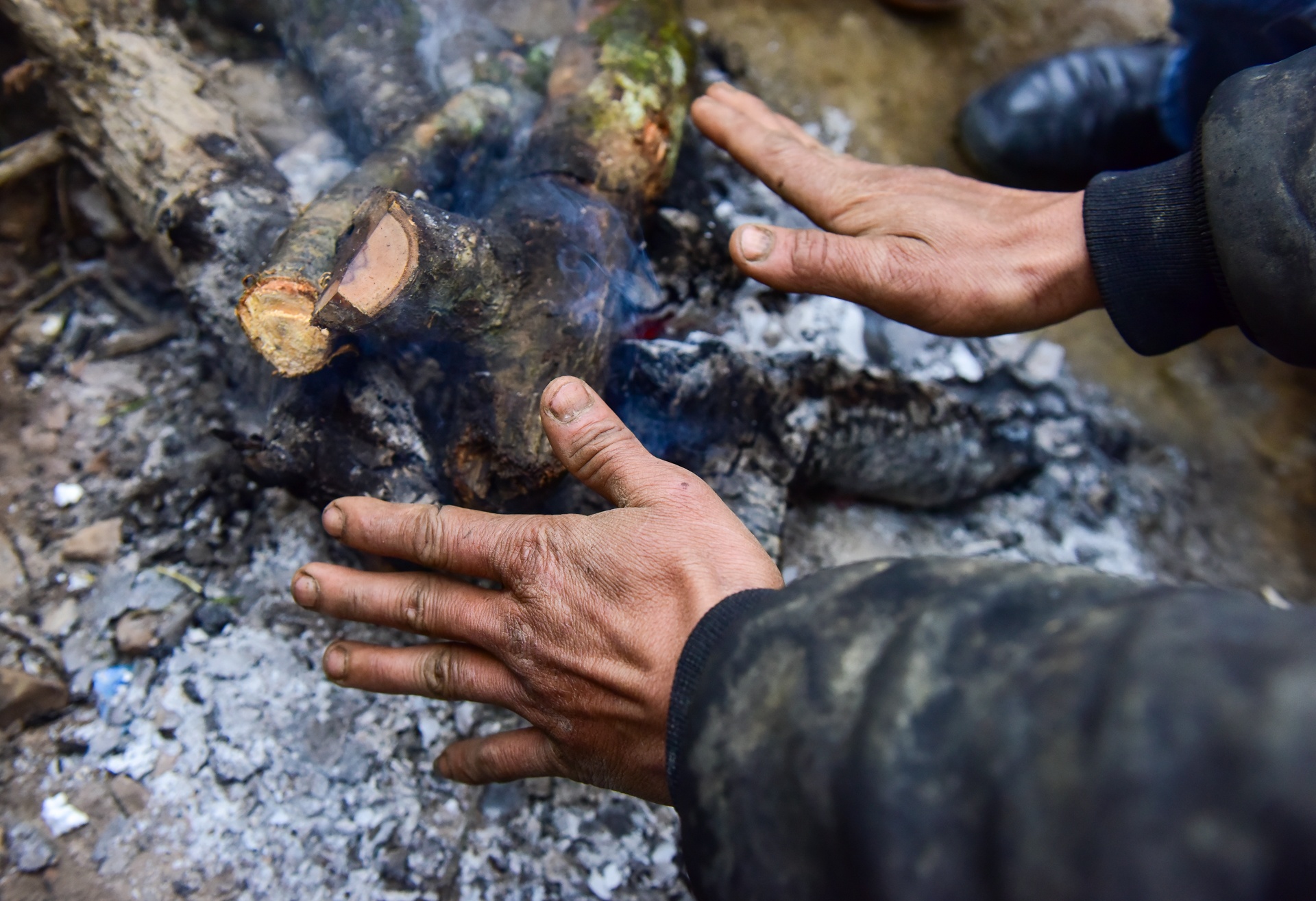 dao rung Sa Pa anh 8