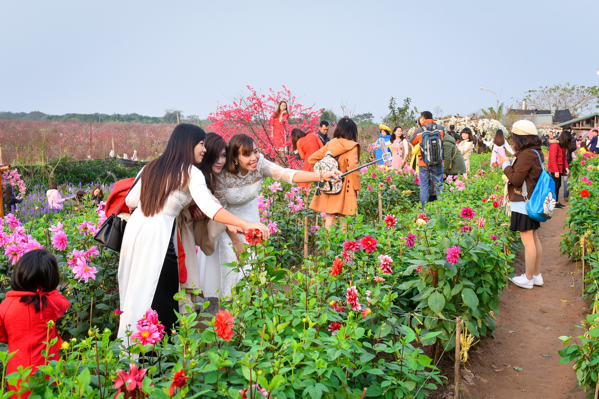 chup anh ben hoa dao anh 1