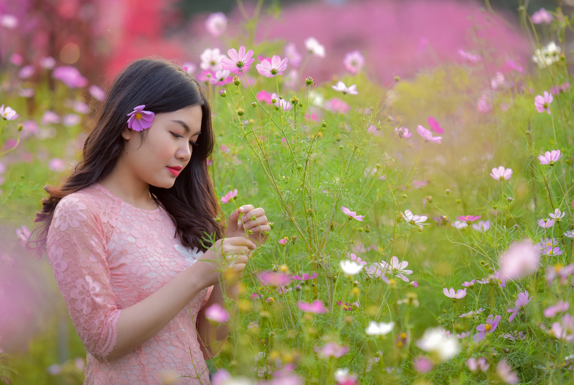 chup anh ben hoa dao anh 4