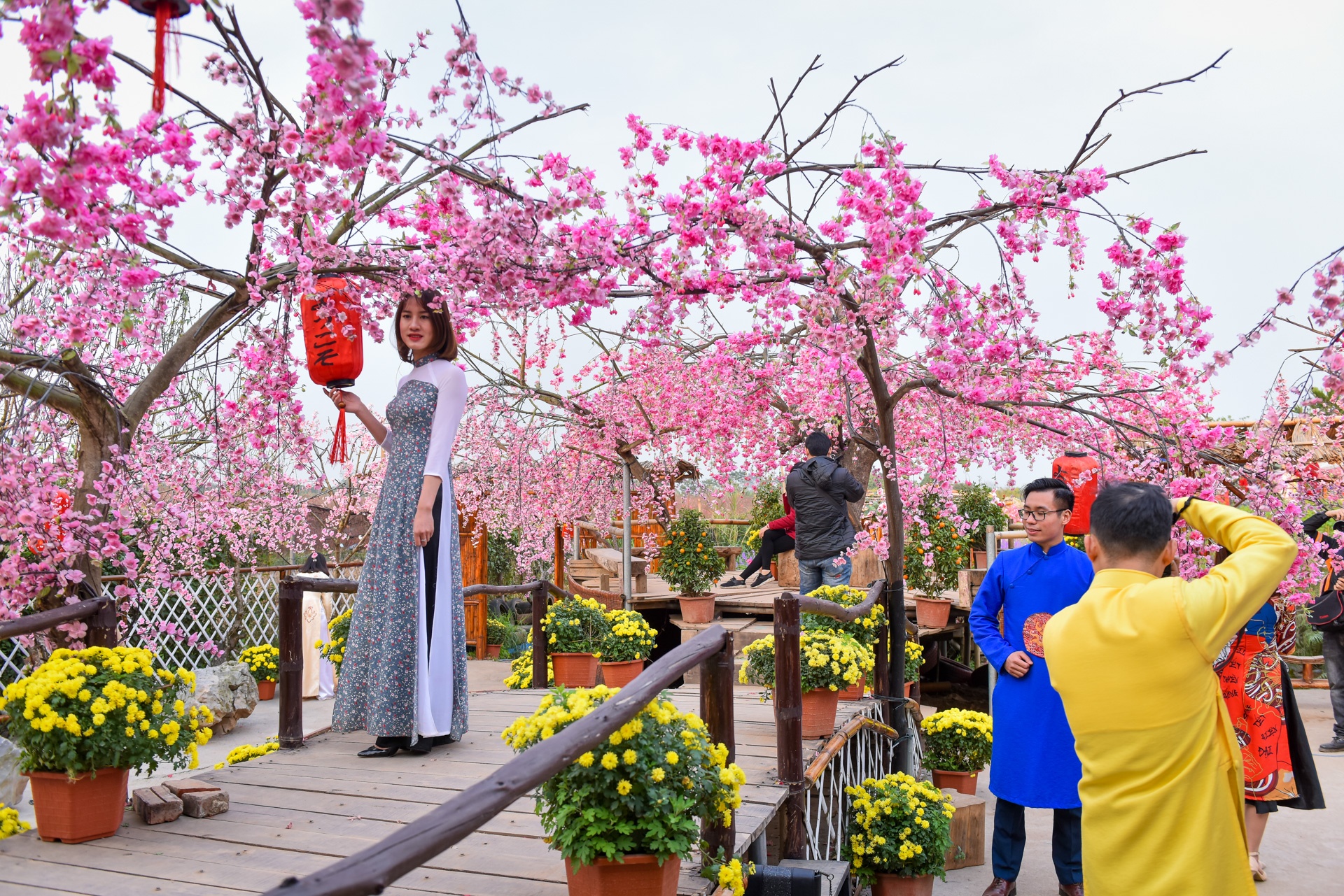 chup anh ben hoa dao anh 5