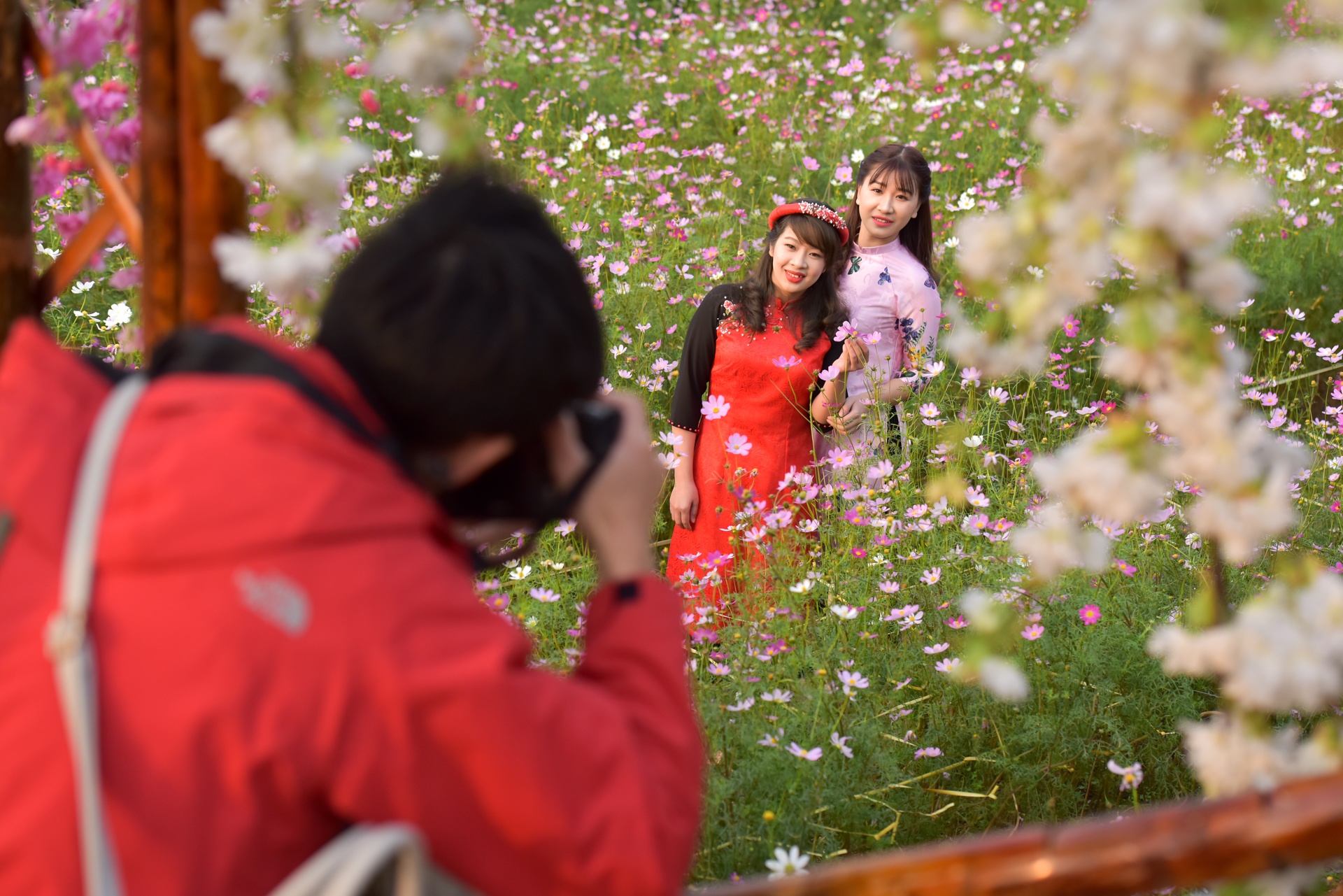 chup anh ben hoa dao anh 8