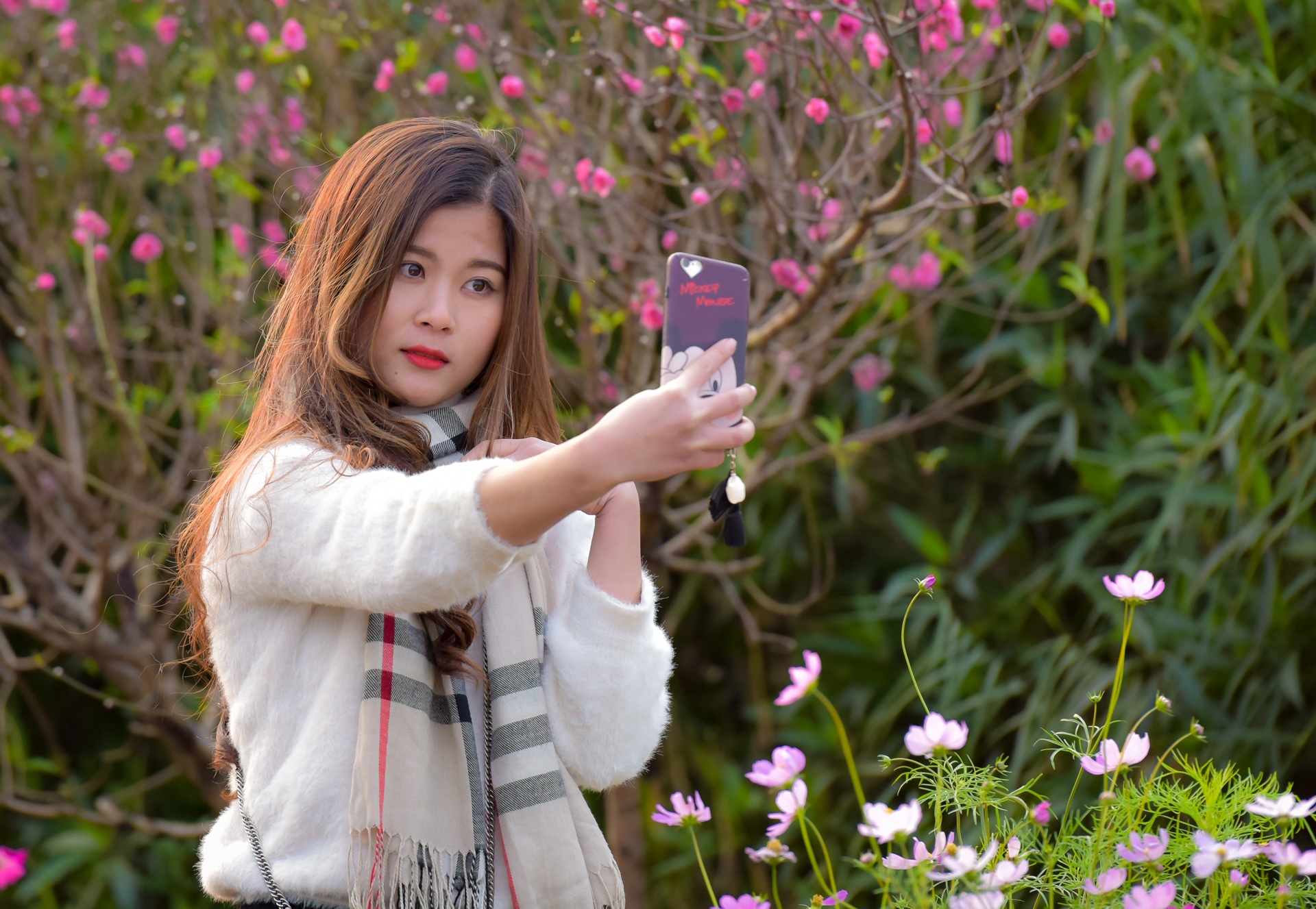 chup anh ben hoa dao anh 9