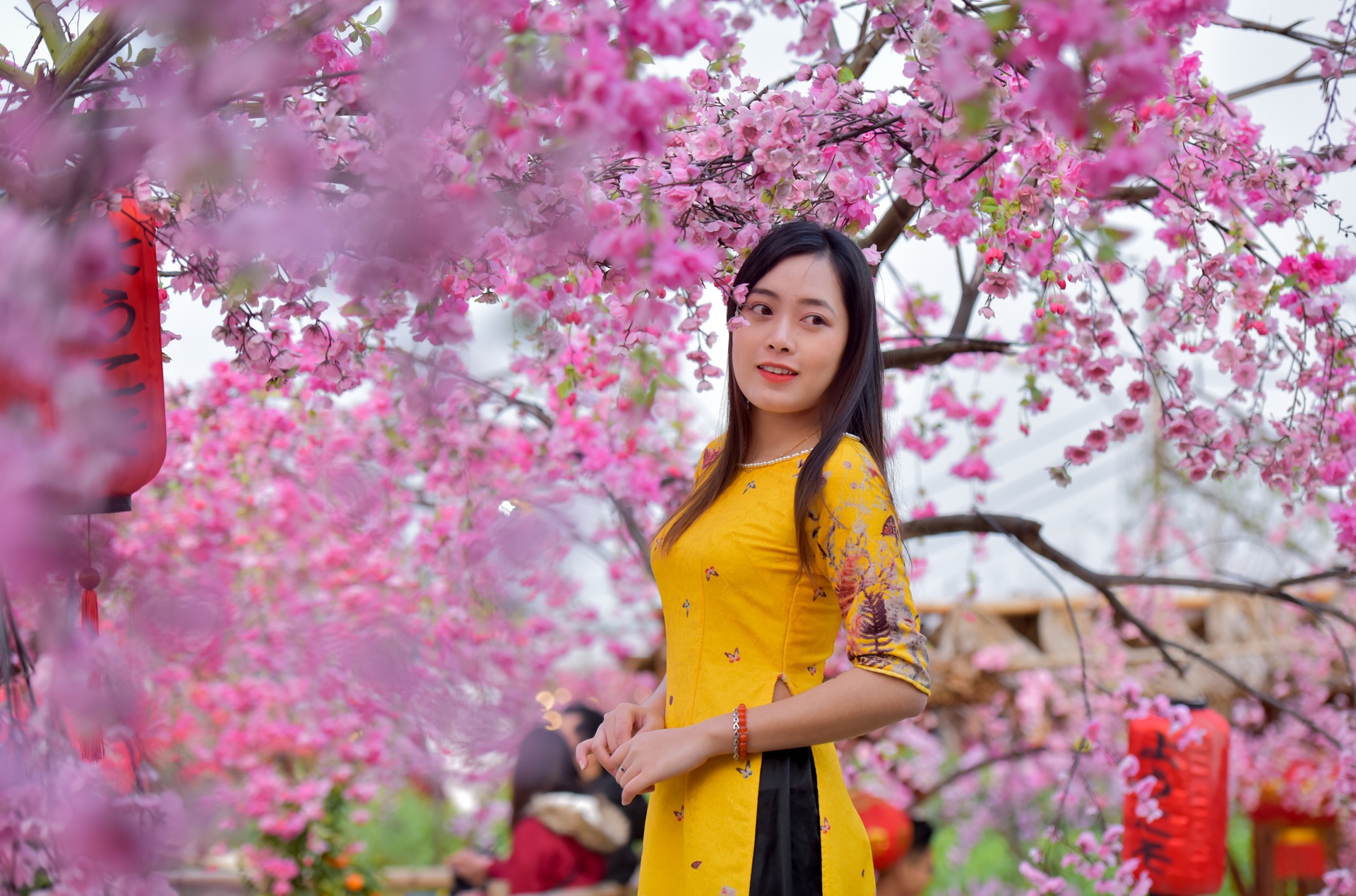 Vuon dao dong duc nhung ngay giap Tet hinh anh