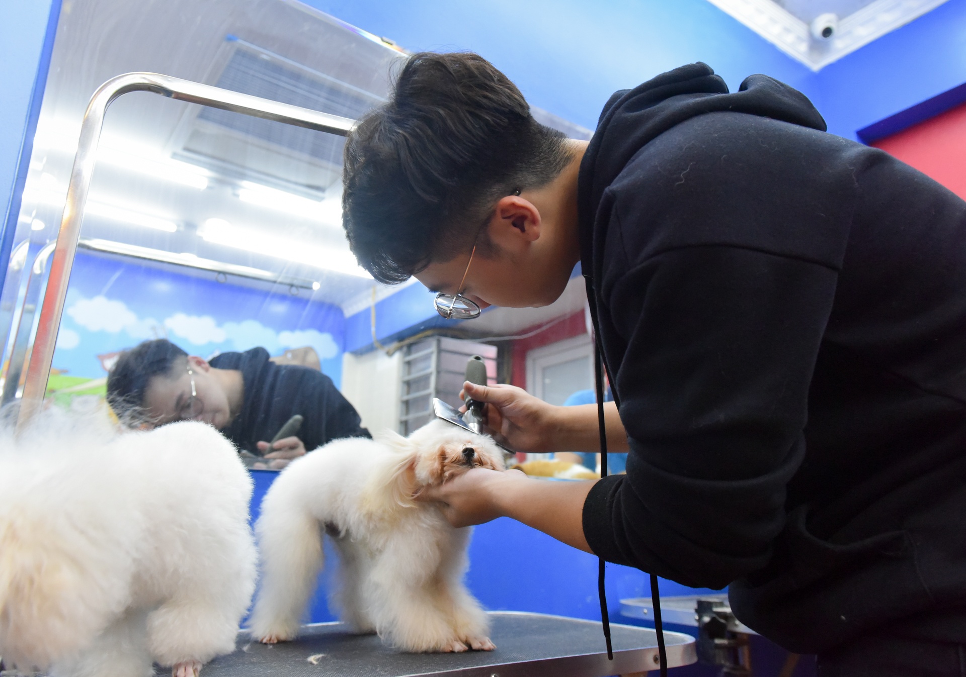 lam dep cho cun cung anh 4