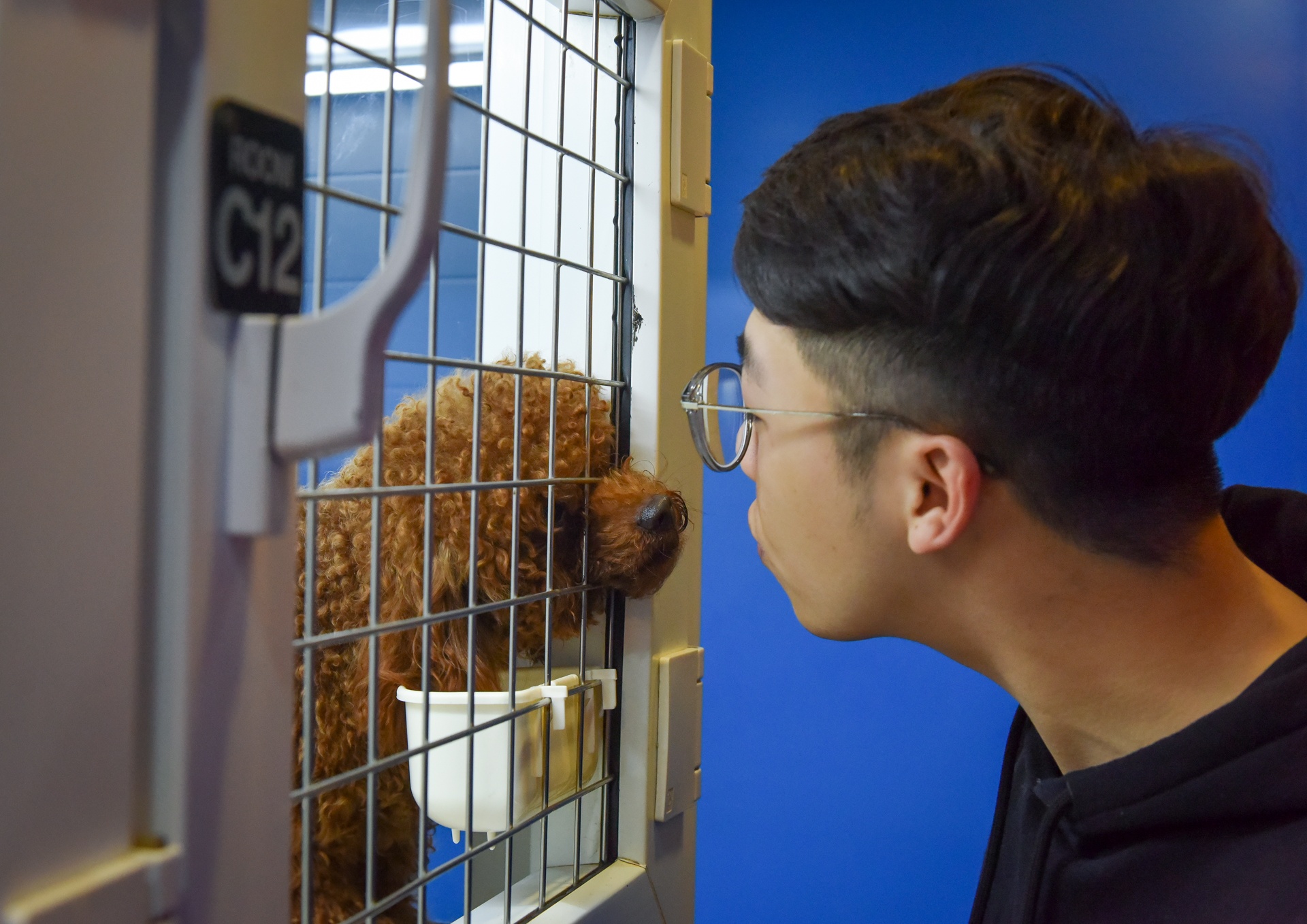 lam dep cho cun cung anh 7