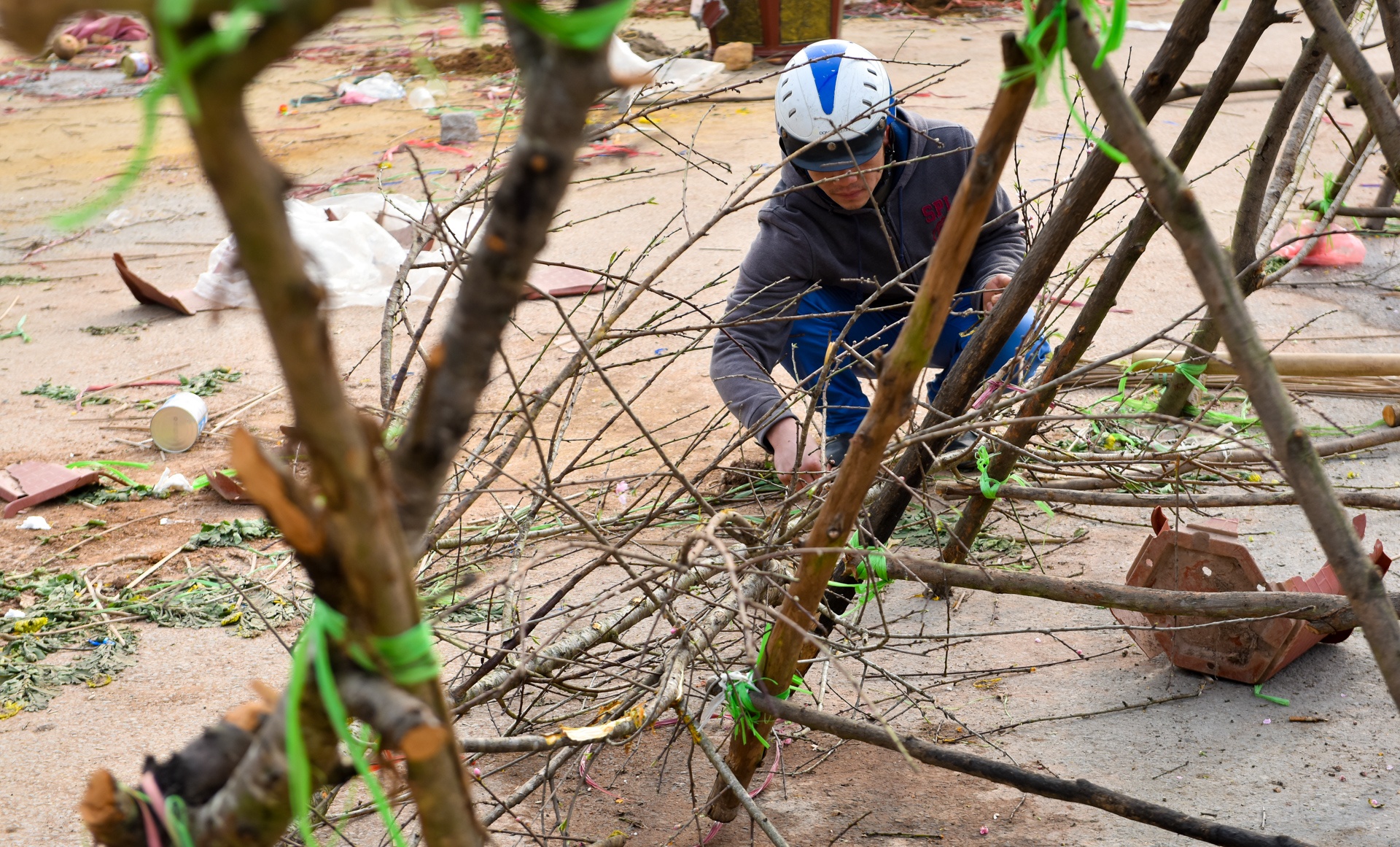 dap nat hoa dao anh 11