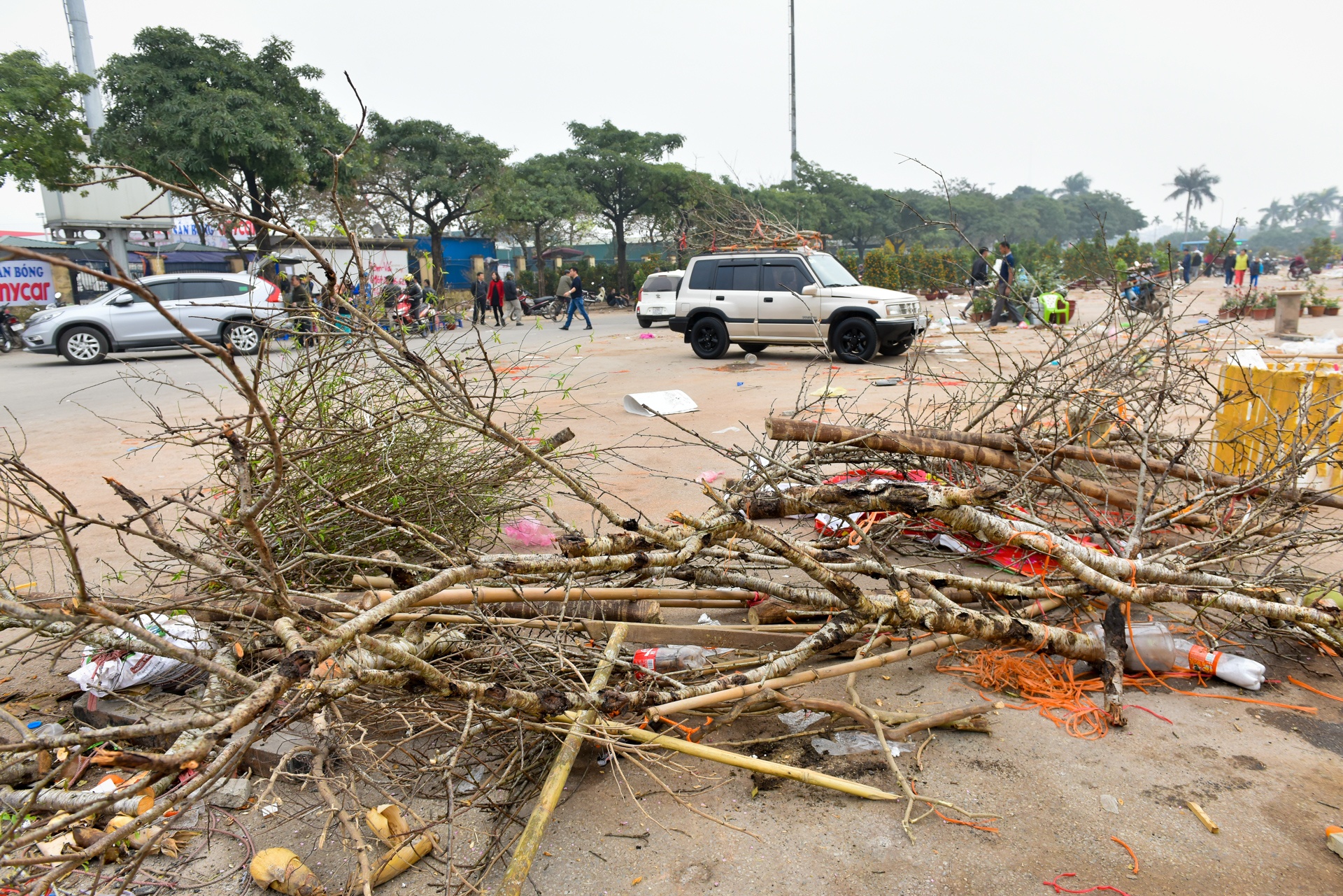 dap nat hoa dao anh 1