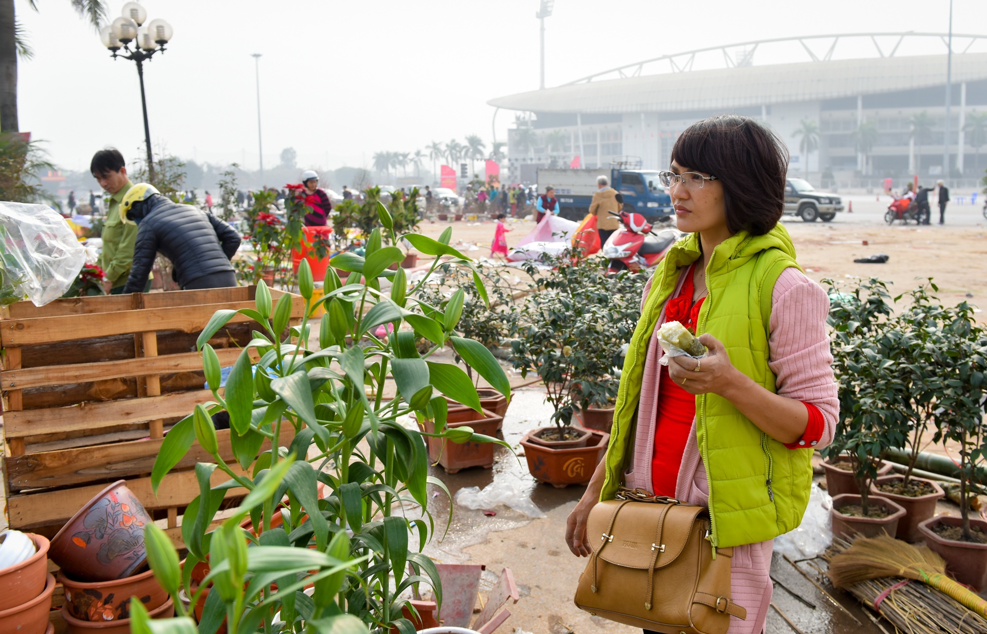 dap nat hoa dao anh 4