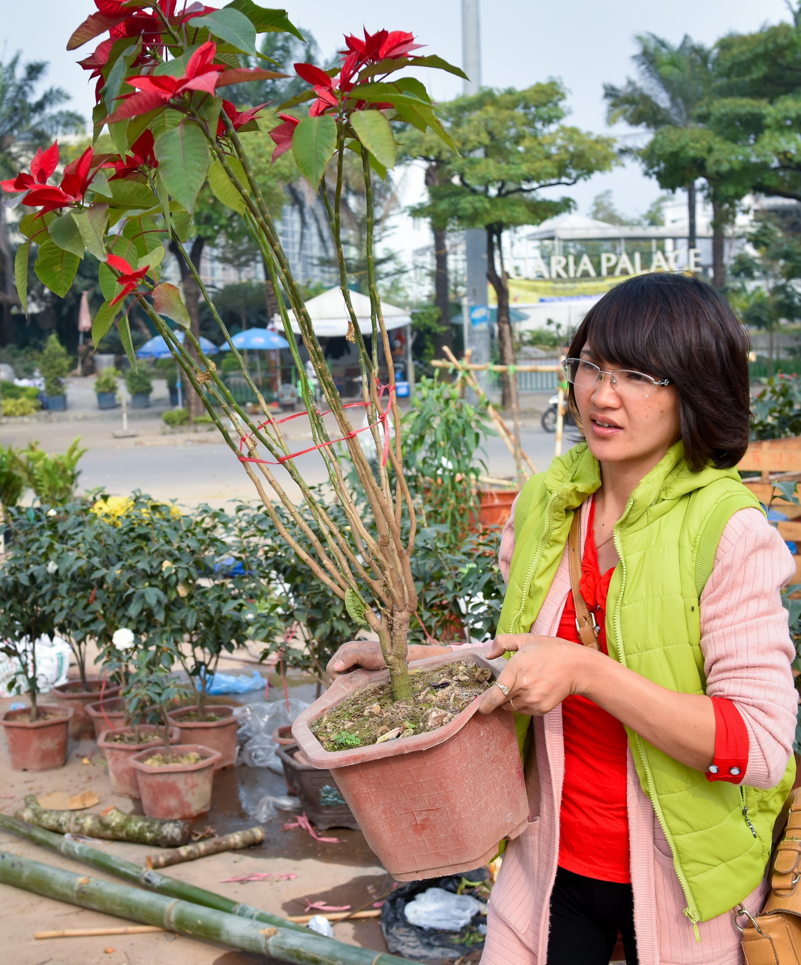 dap nat hoa dao anh 5