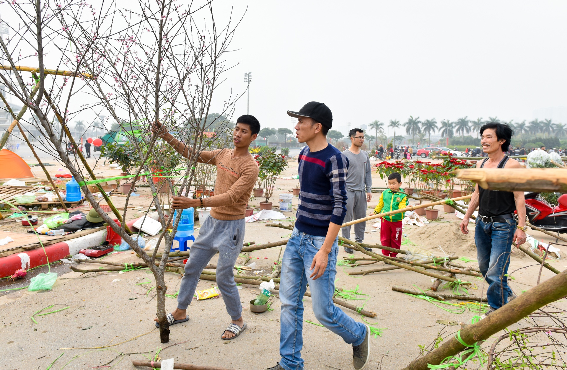 dap nat hoa dao anh 7