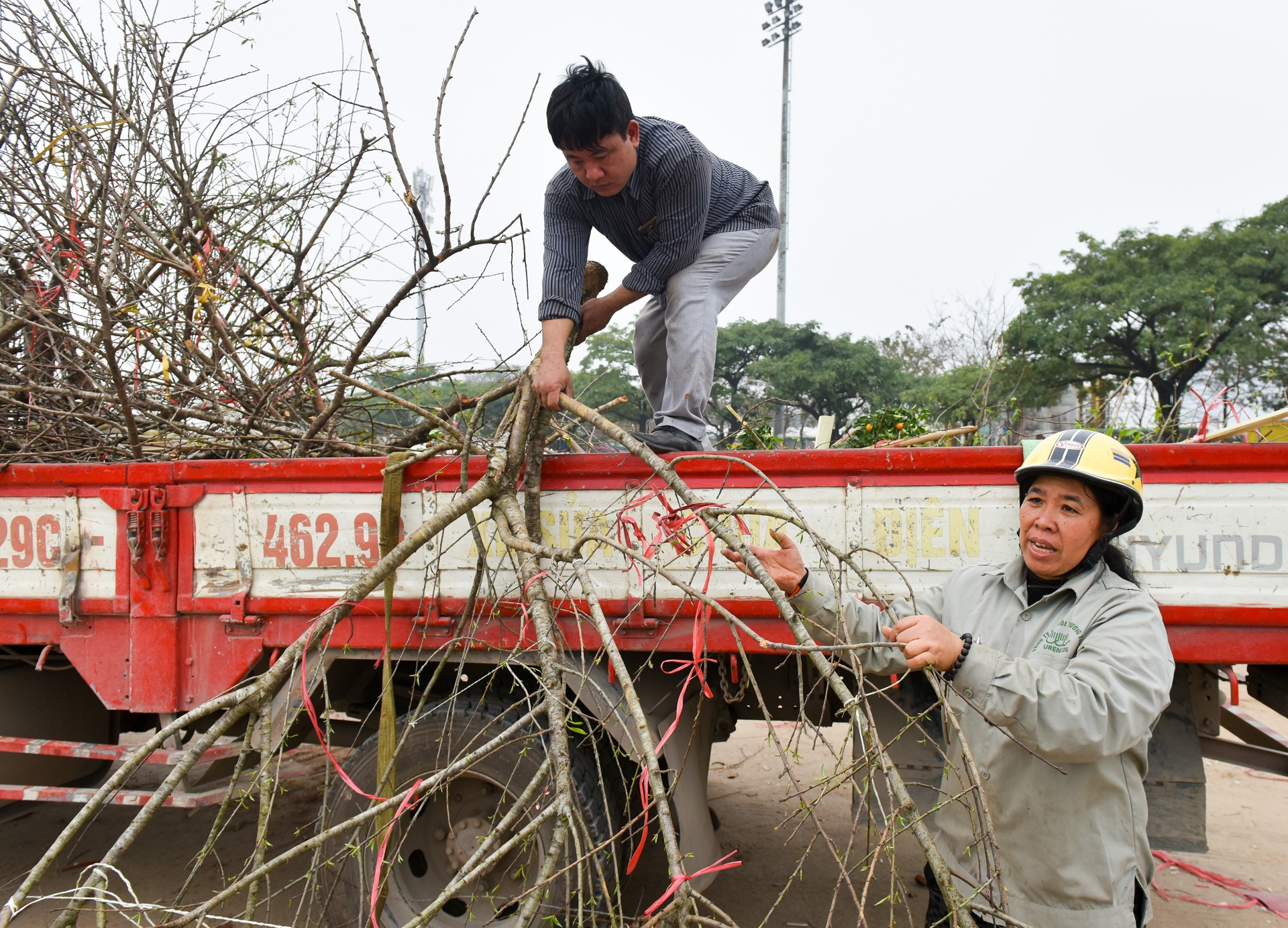 dap nat hoa dao anh 10
