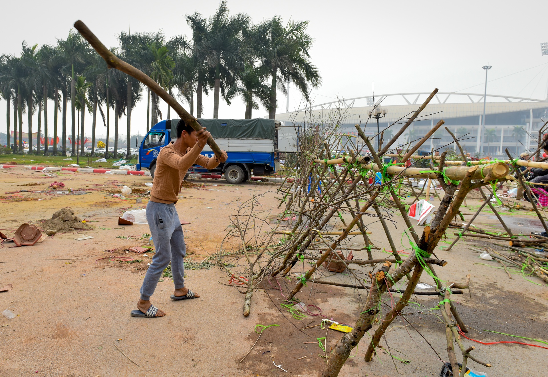 Tieu thuong Ha Noi cung dap nat hoa dao de tranh bi ep gia hinh anh