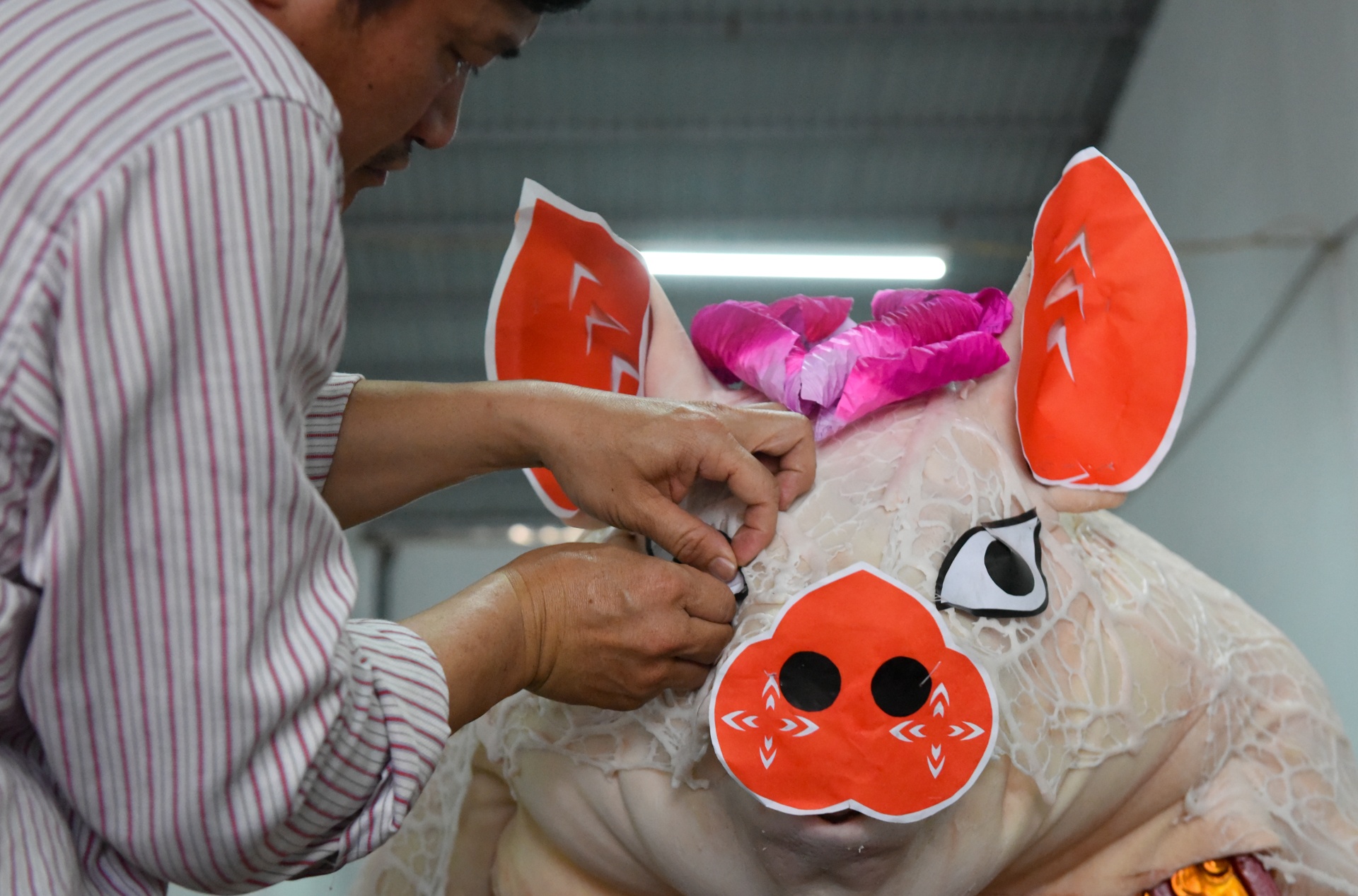 Hanh trinh cua 'ong lon' tu khi nuoi den khi ruoc o La Phu hinh anh