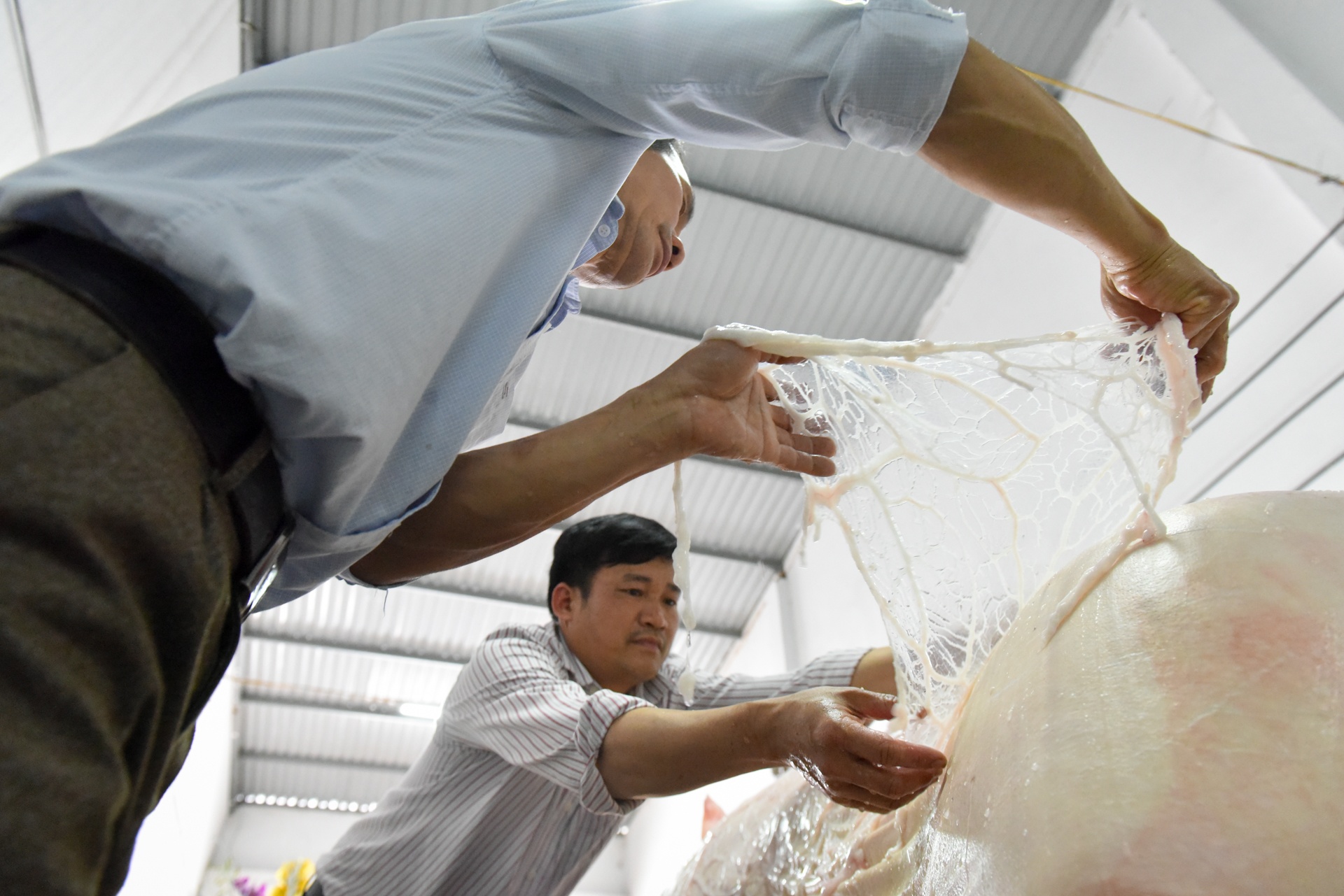 le hoi ruoc lon La Phu anh 10