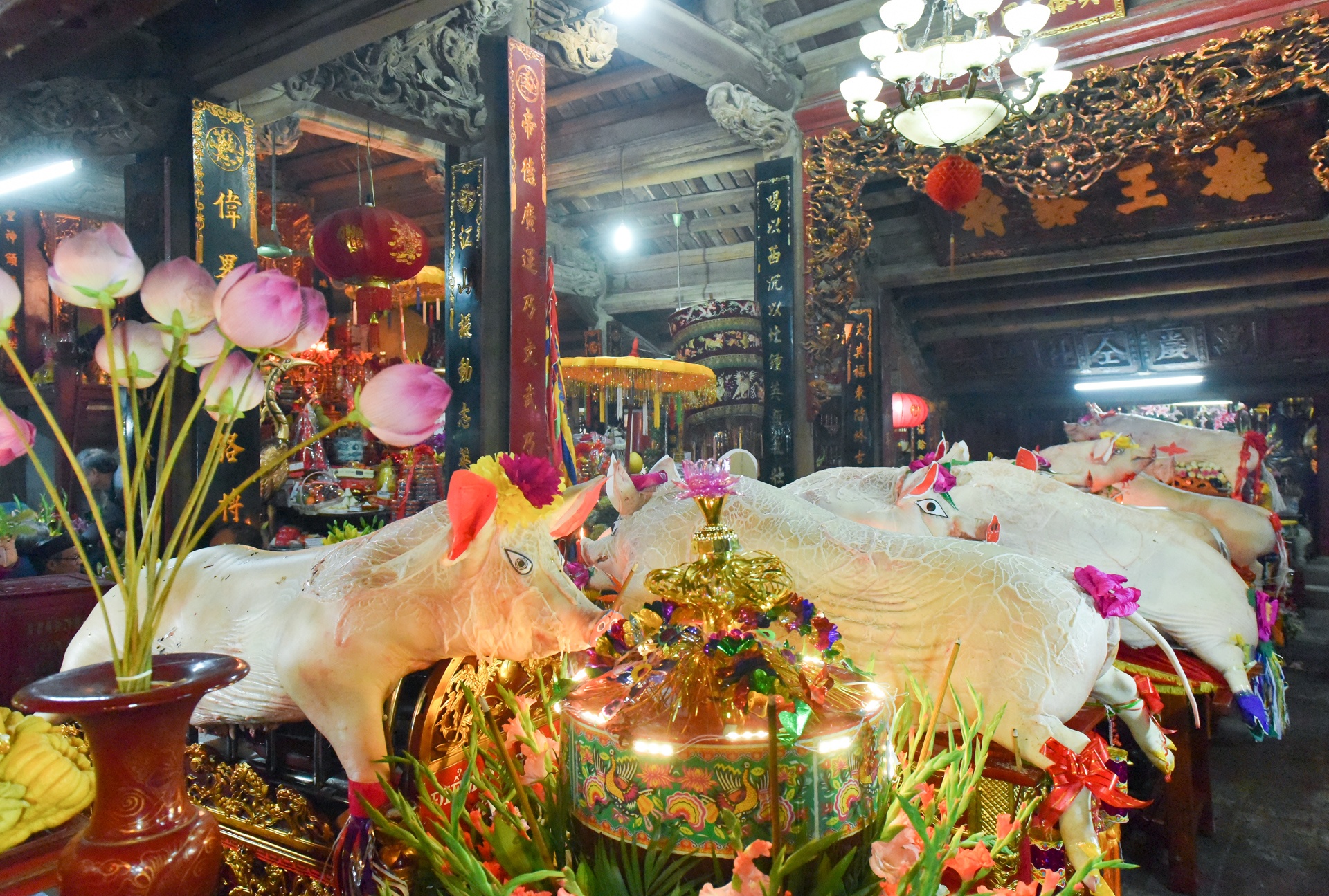 le hoi ruoc lon La Phu anh 15