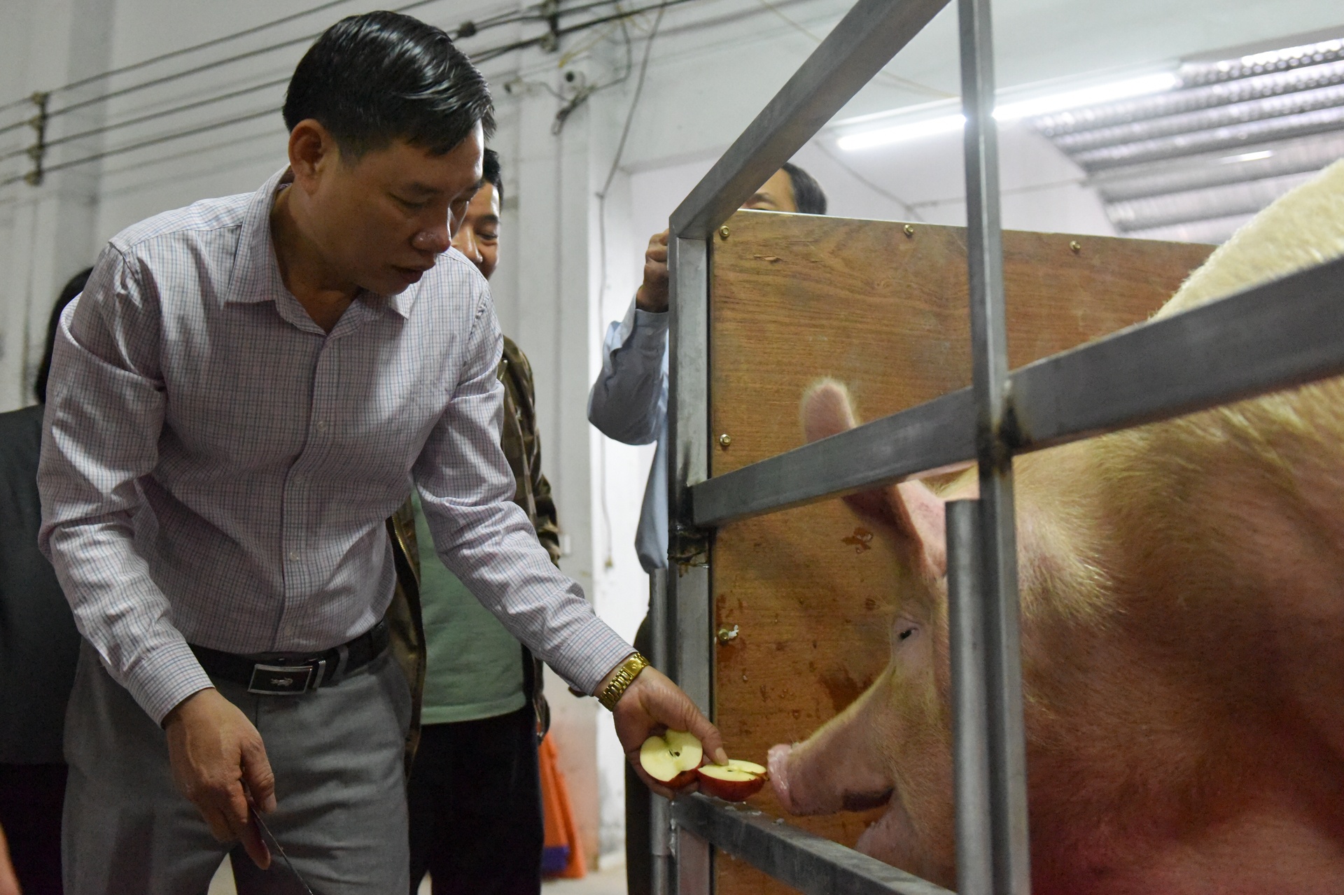 le hoi ruoc lon La Phu anh 4