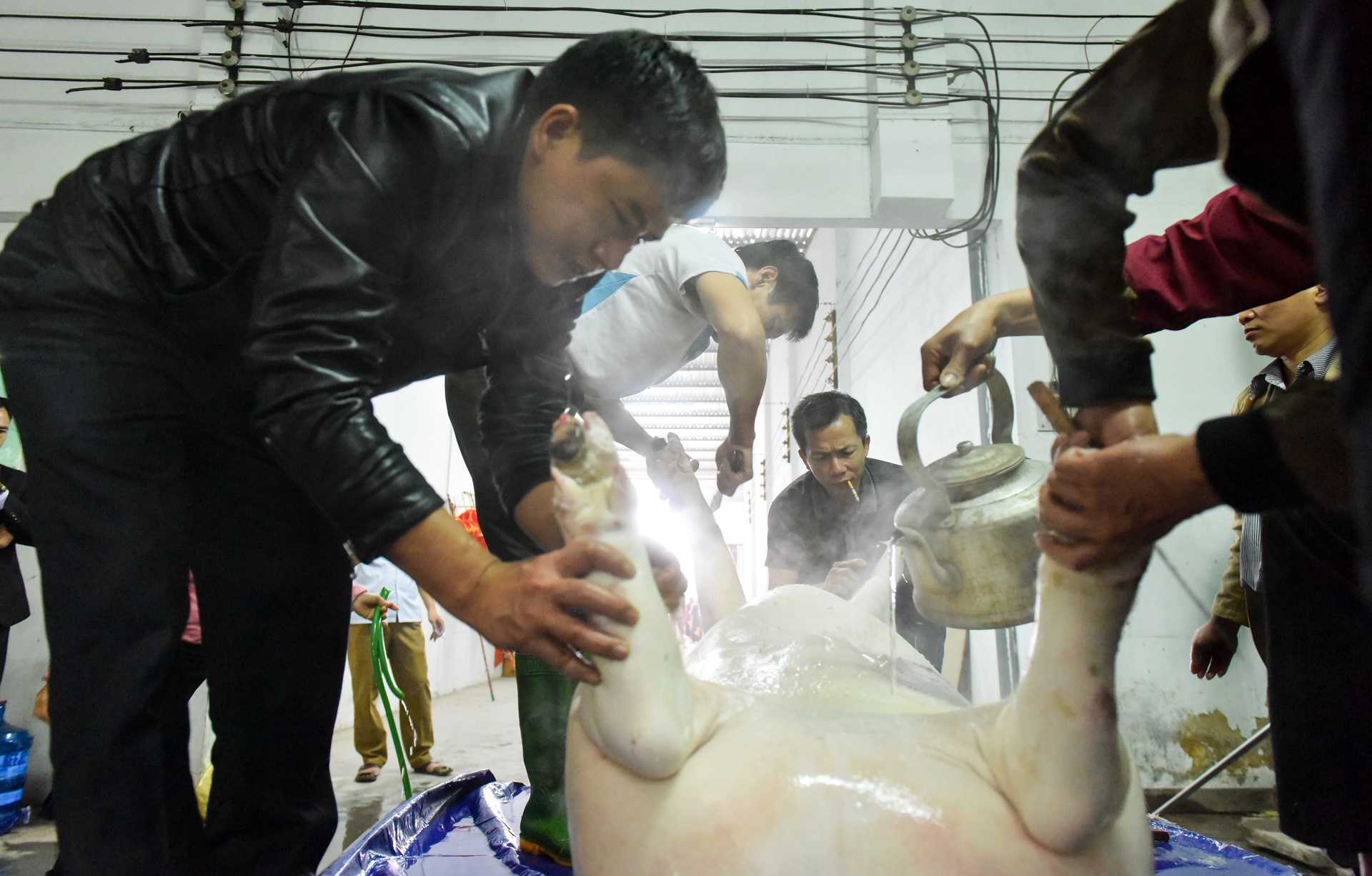 le hoi ruoc lon La Phu anh 7