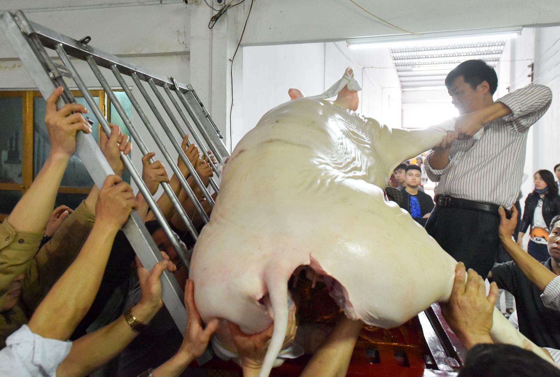 le hoi ruoc lon La Phu anh 8