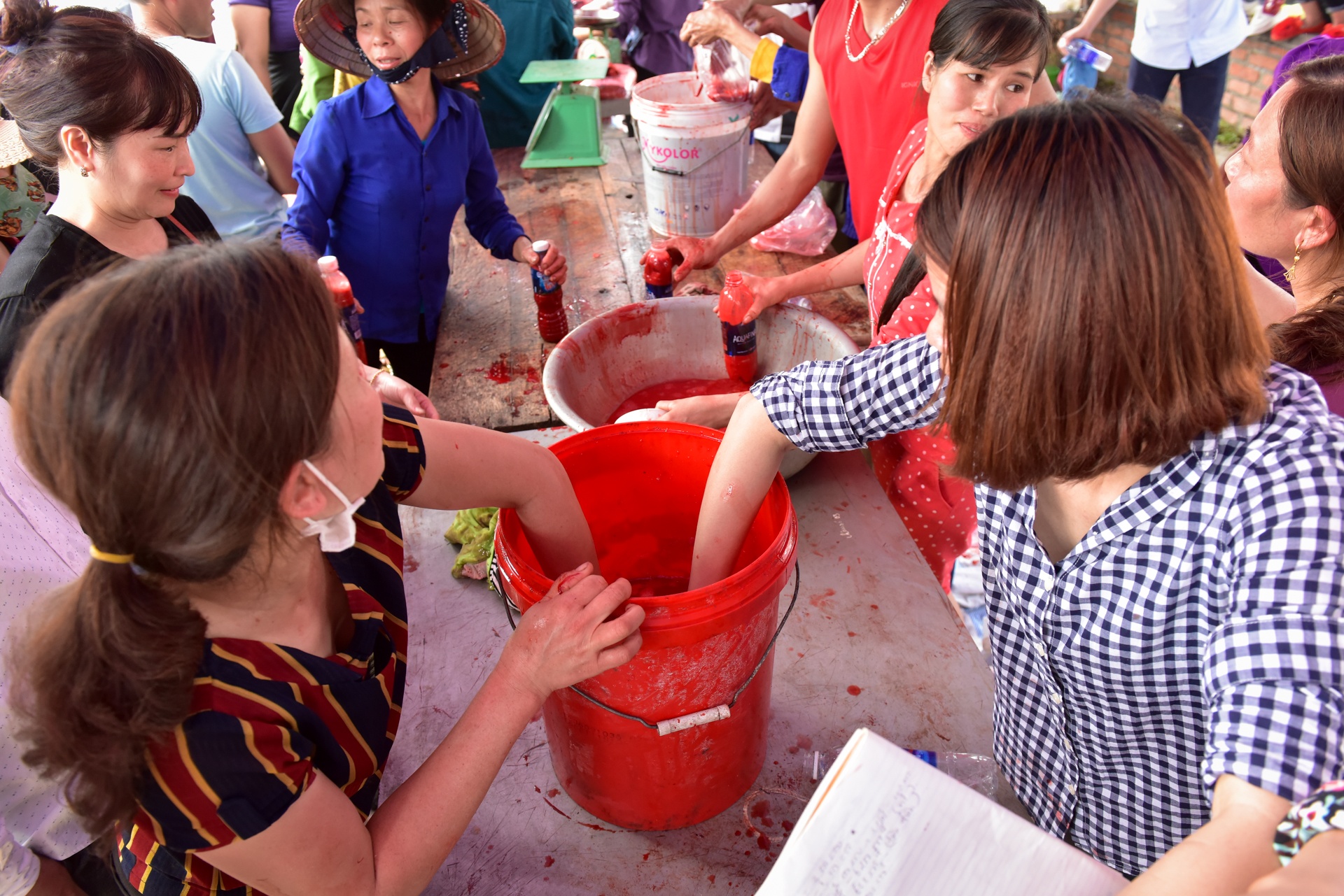le hoi choi trau hai luu ban ve tra hinh anh 13