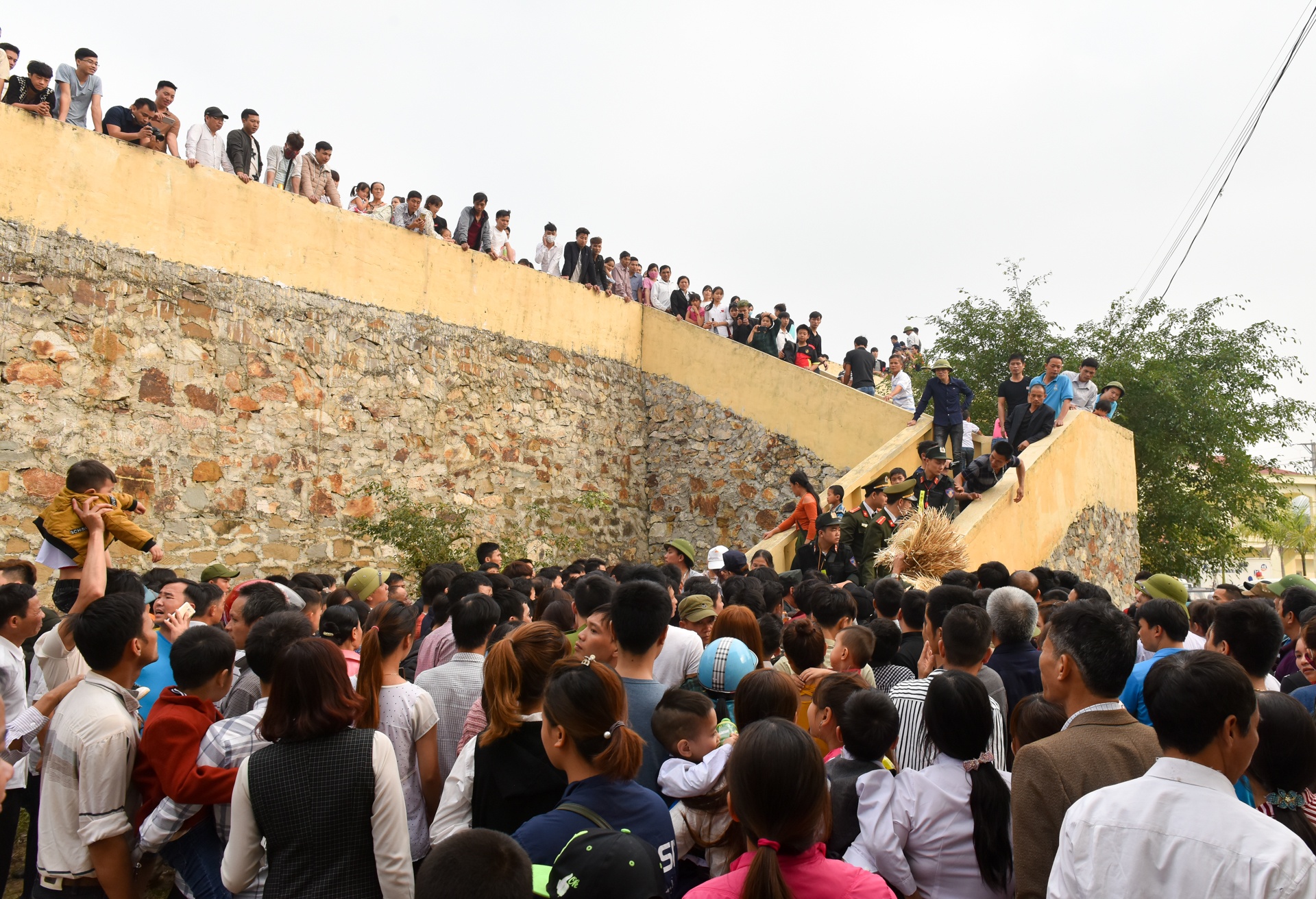 le hoi choi trau hai luu ban ve tra hinh anh 2