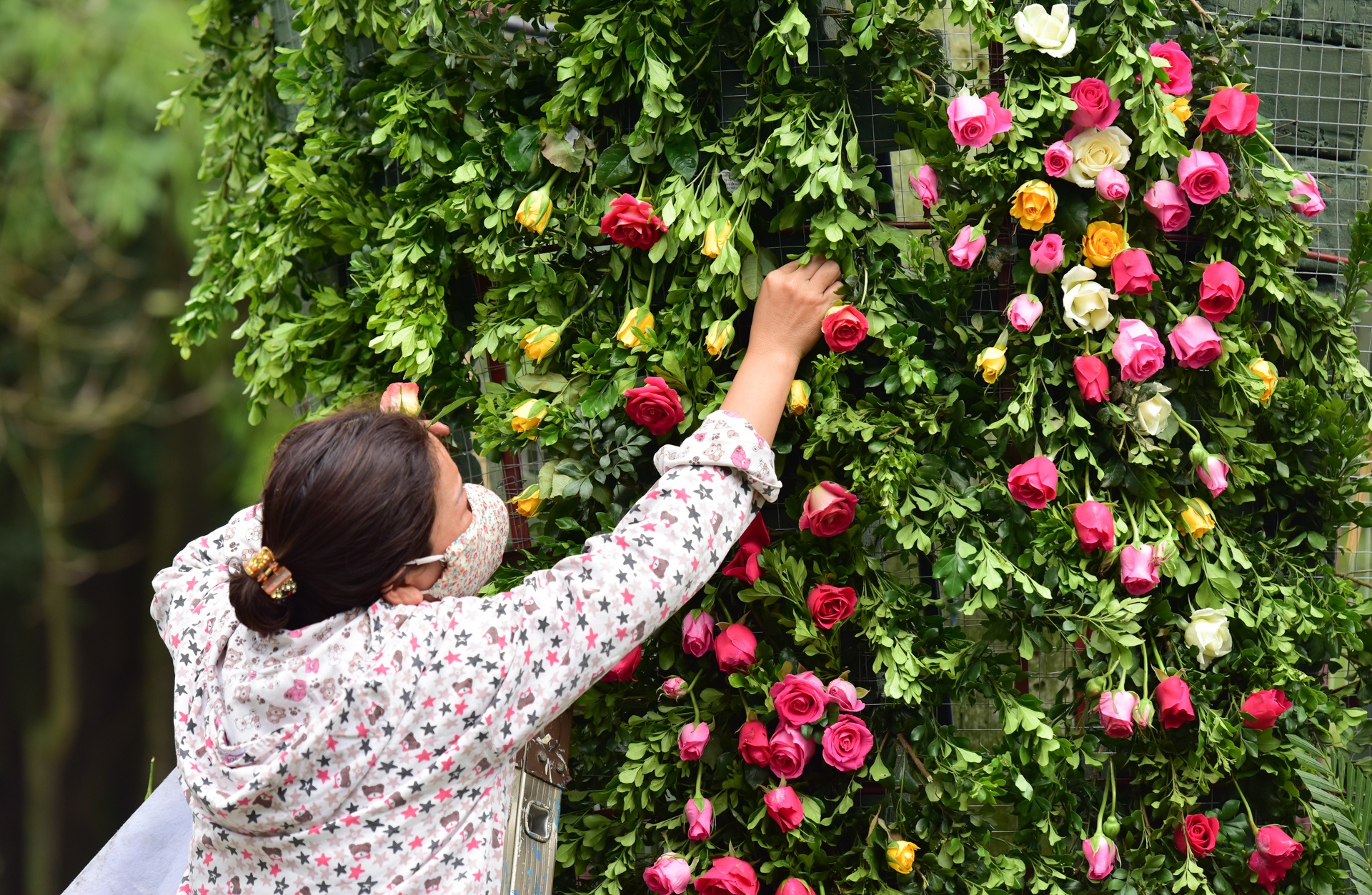 lễ hội hoa hồng bulgaria ảnh 9 le hoi hoa hong bulgaria anh 9