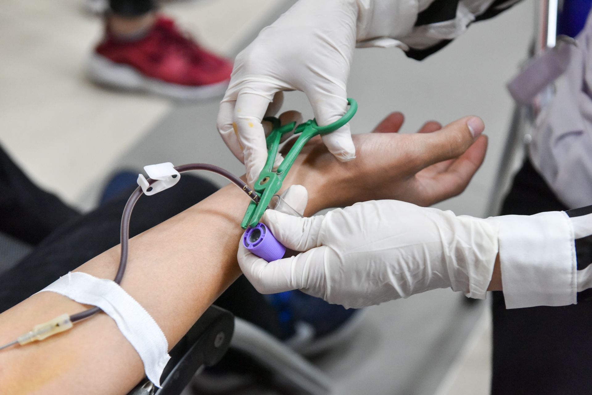 le hoi xuan hong 2018 anh 4