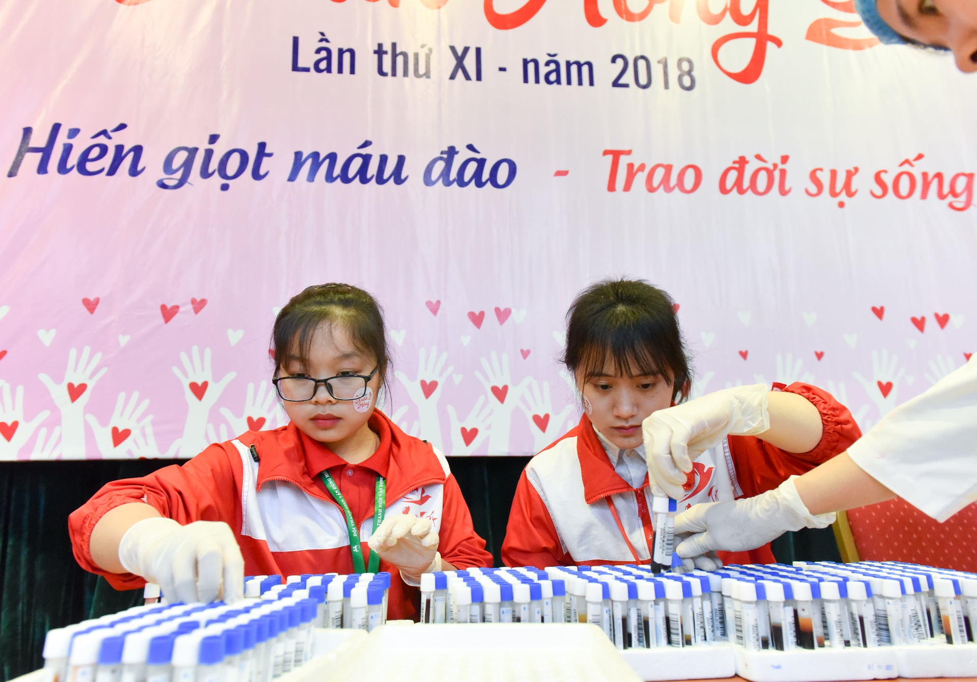 le hoi xuan hong 2018 anh 8