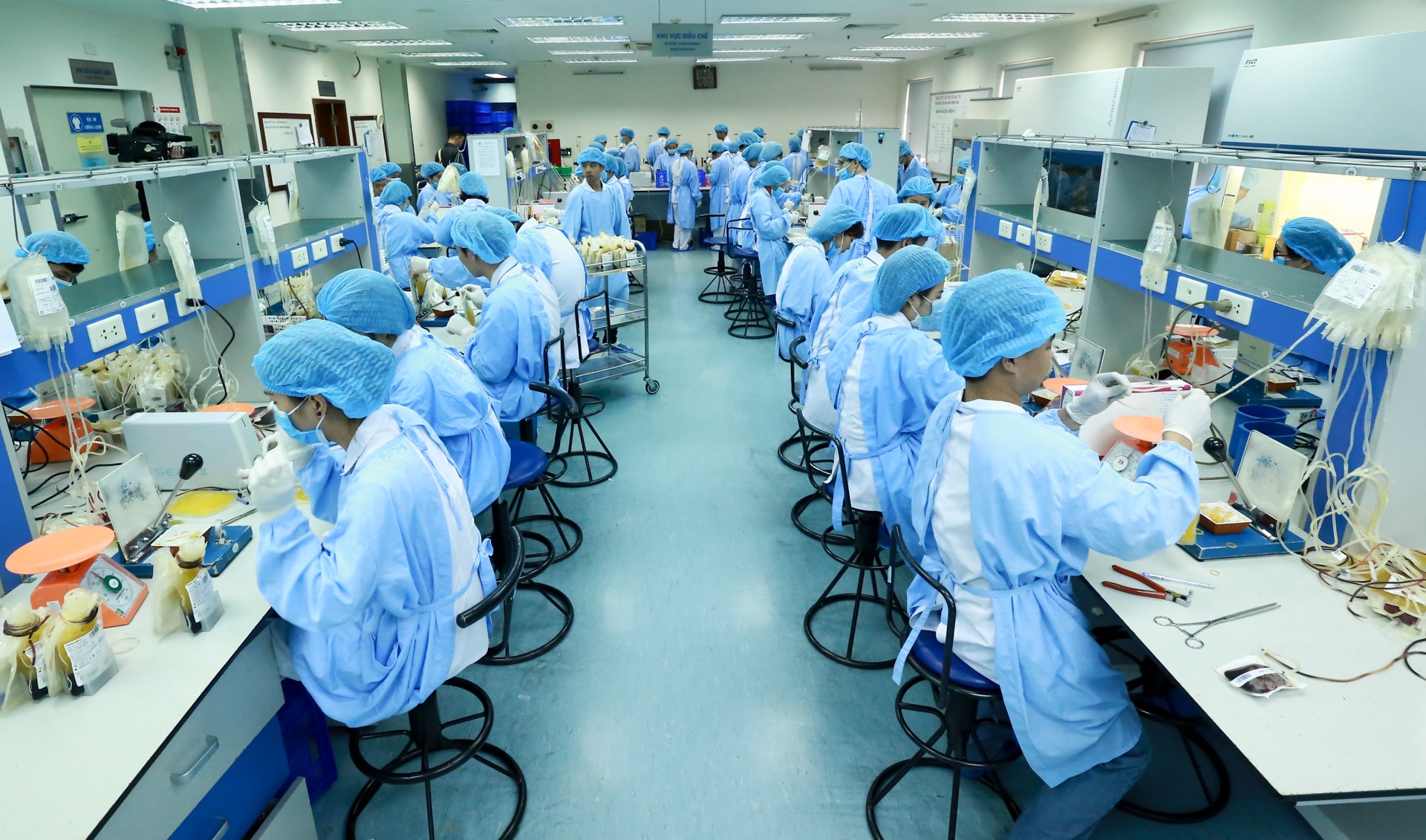 le hoi xuan hong 2018 anh 9