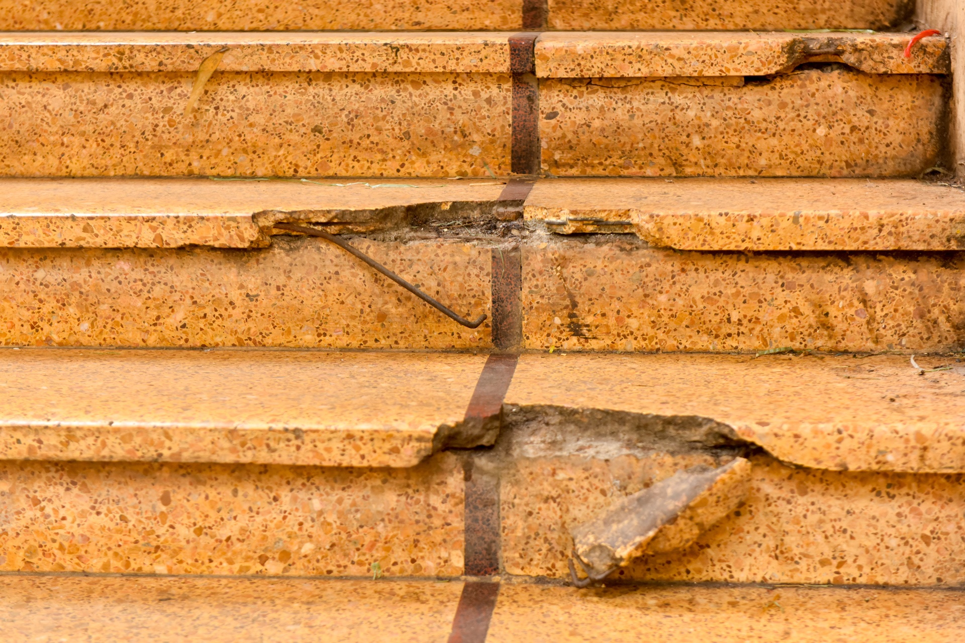 cho dong xuan xuong cap anh 12