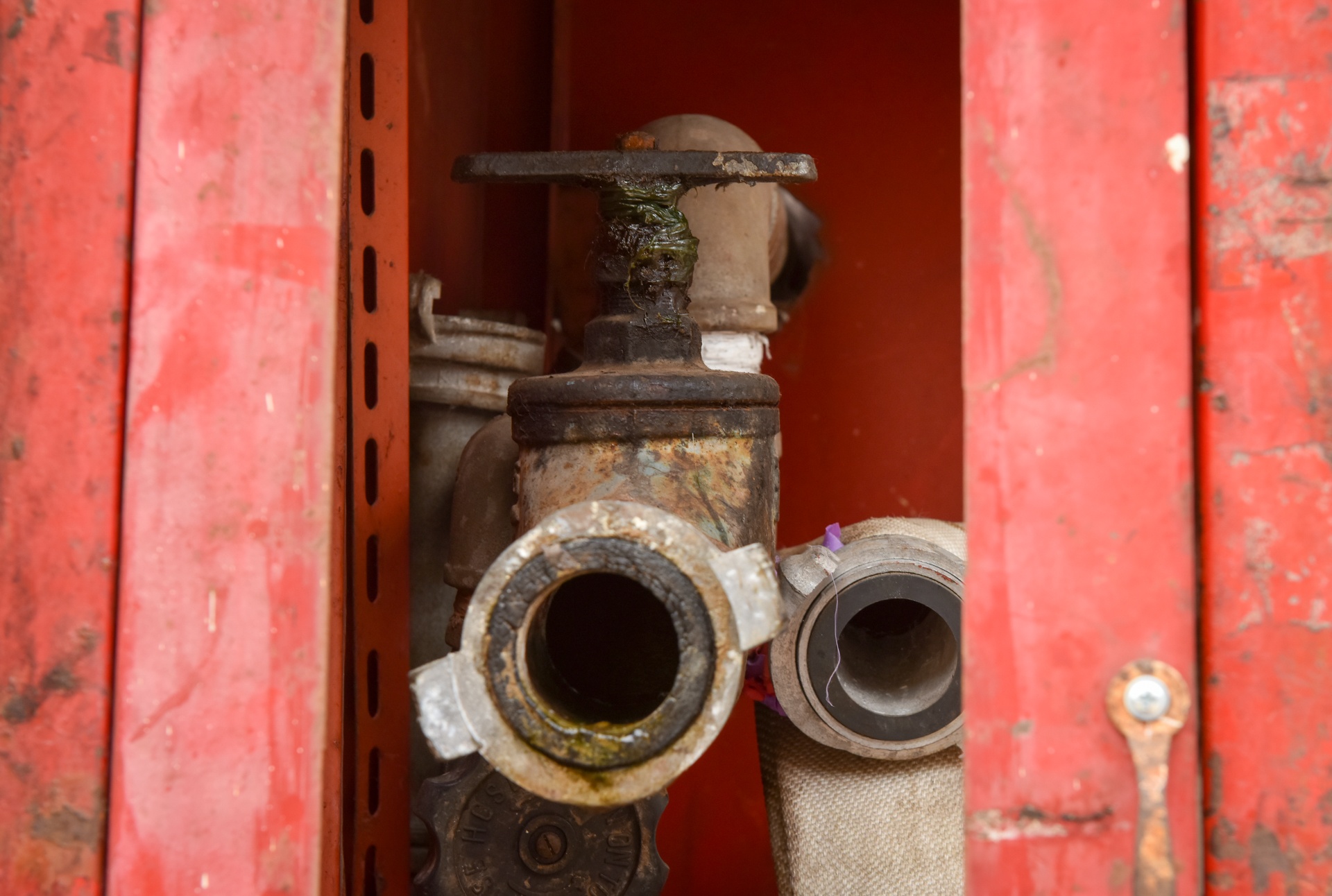 cho dong xuan xuong cap anh 4