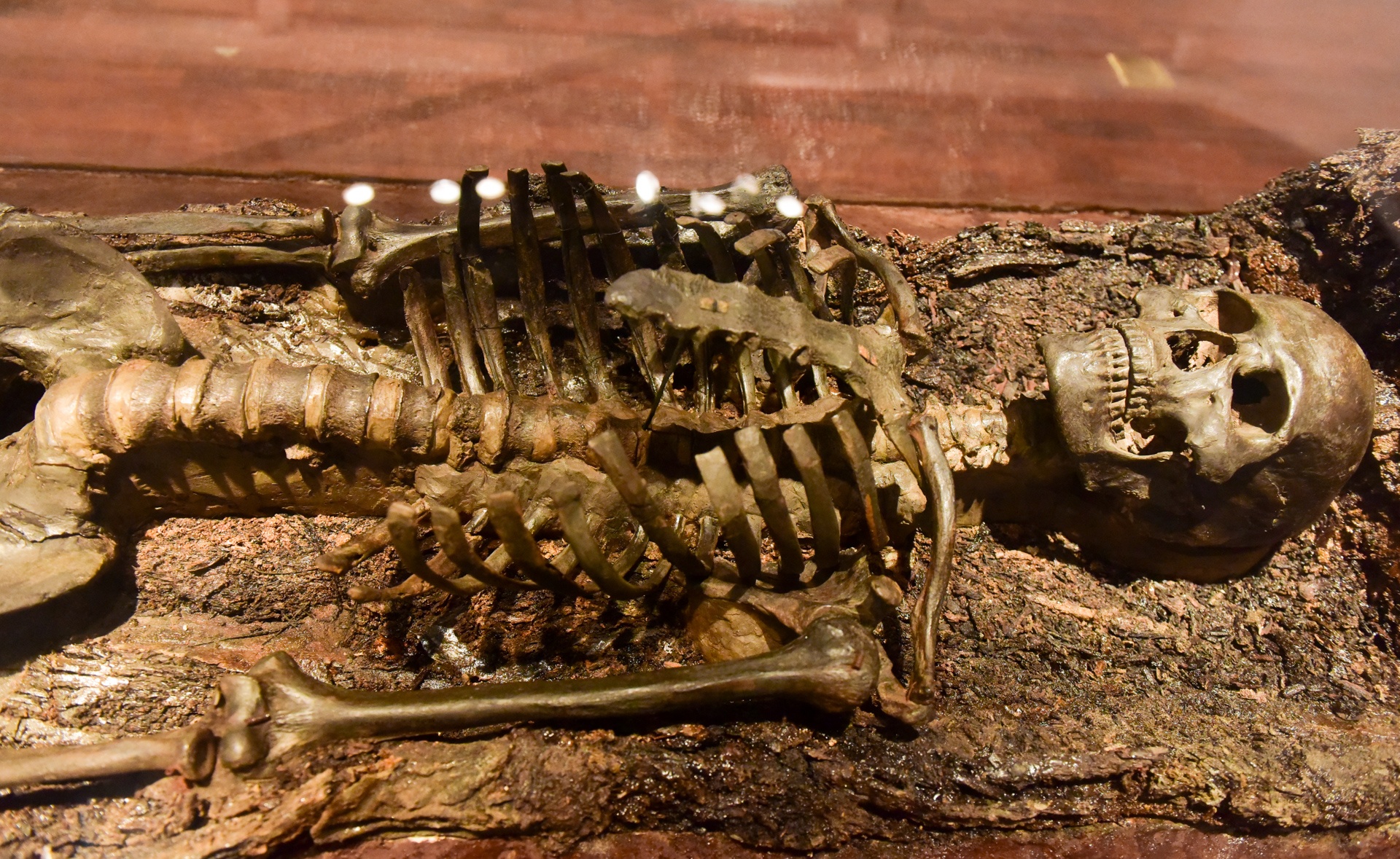 300 bau vat khao co hoc anh 4