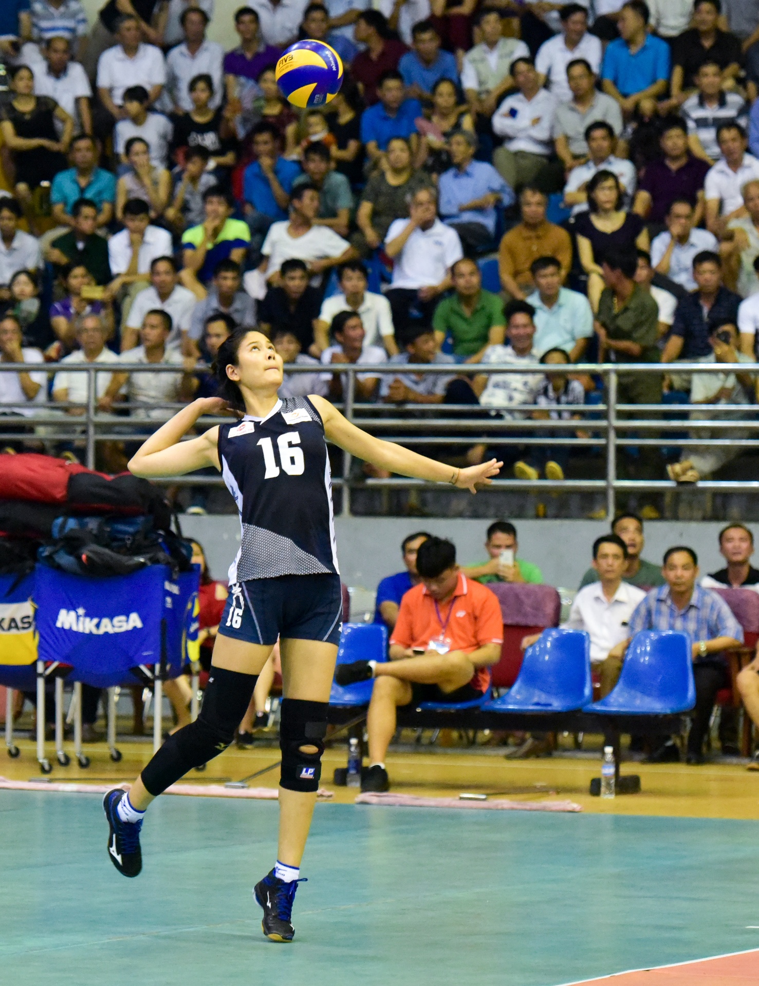 cup bong chuyen hung vuong anh 8