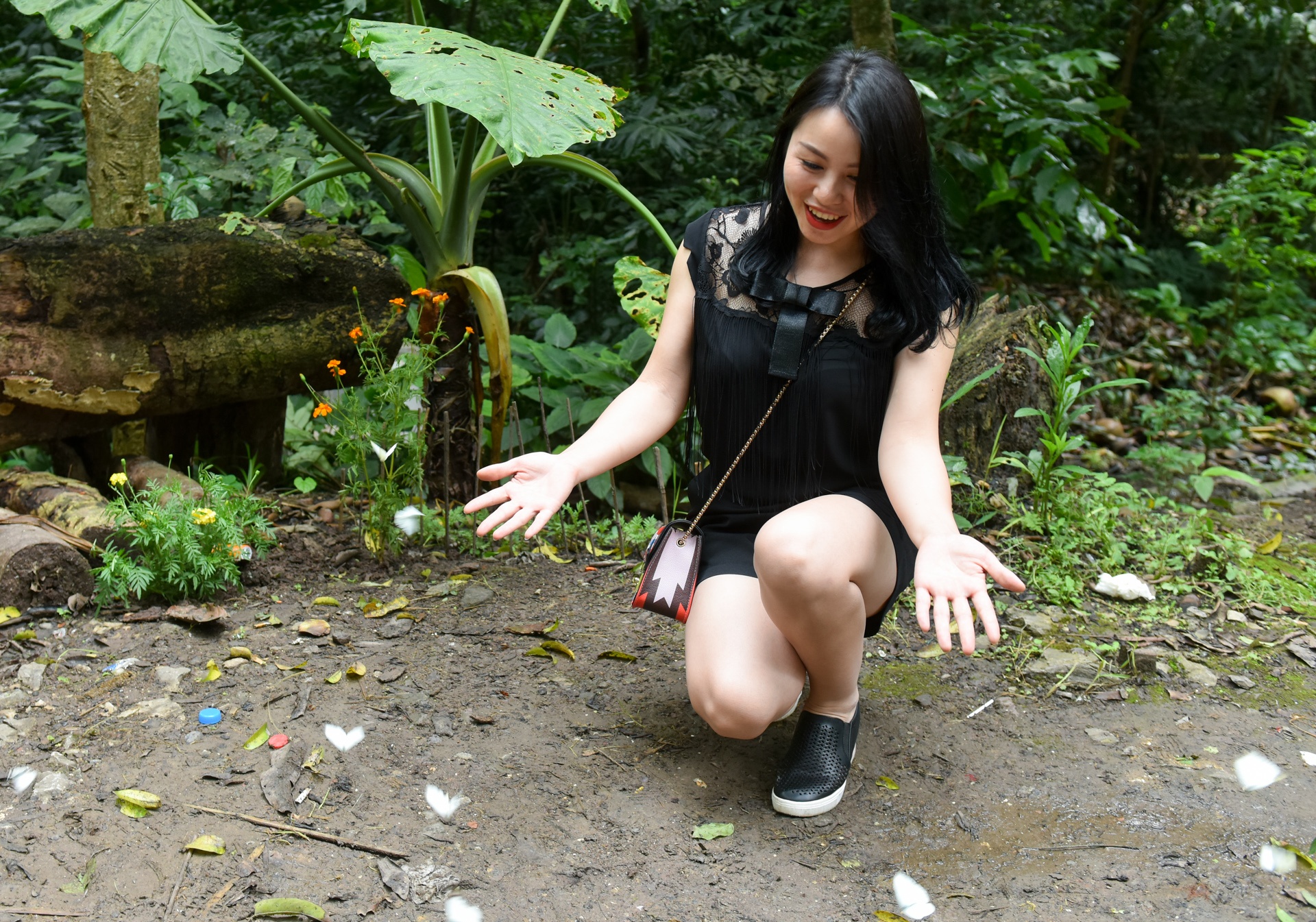 Chup anh voi dan buom o vuon quoc gia Cuc Phuong hinh anh